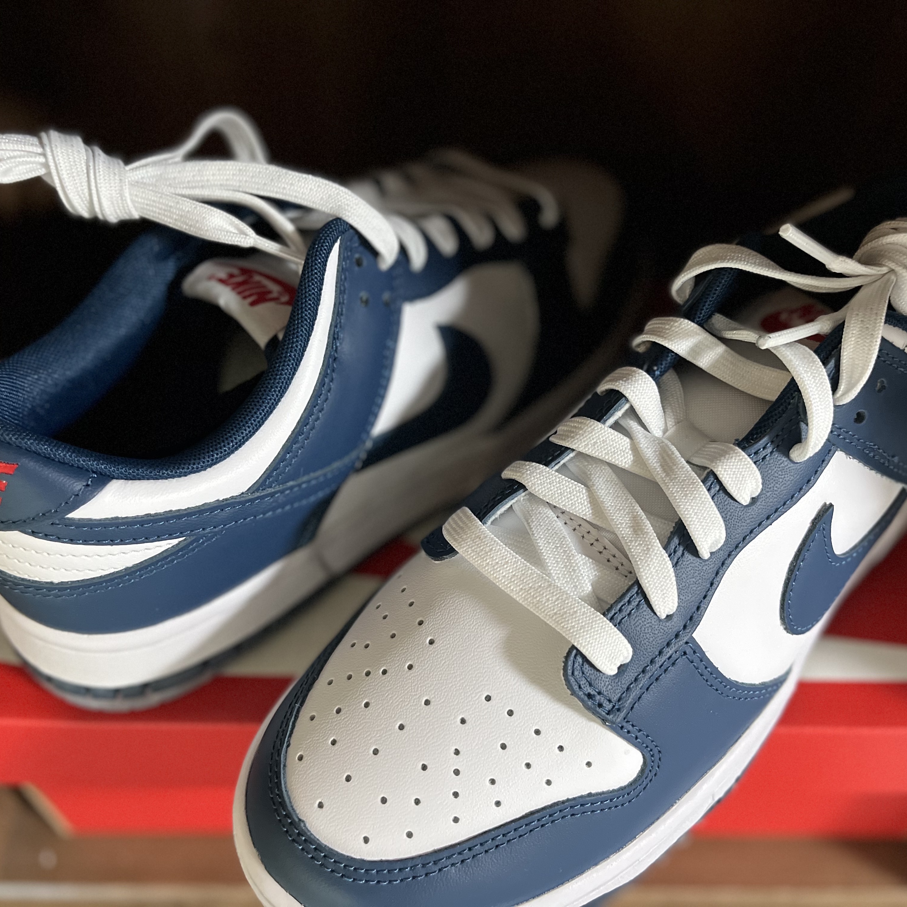 Nike Dunk Low Retro Valerian Blue 착용 스타일