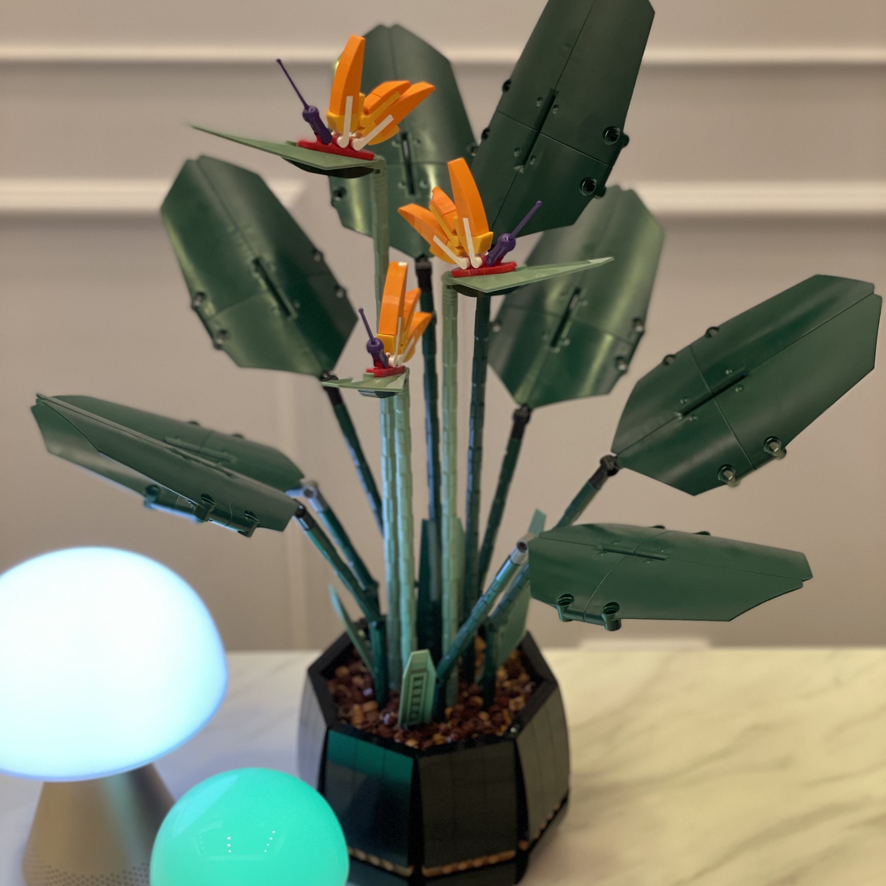 Lego Bird of Paradise 착용 스타일