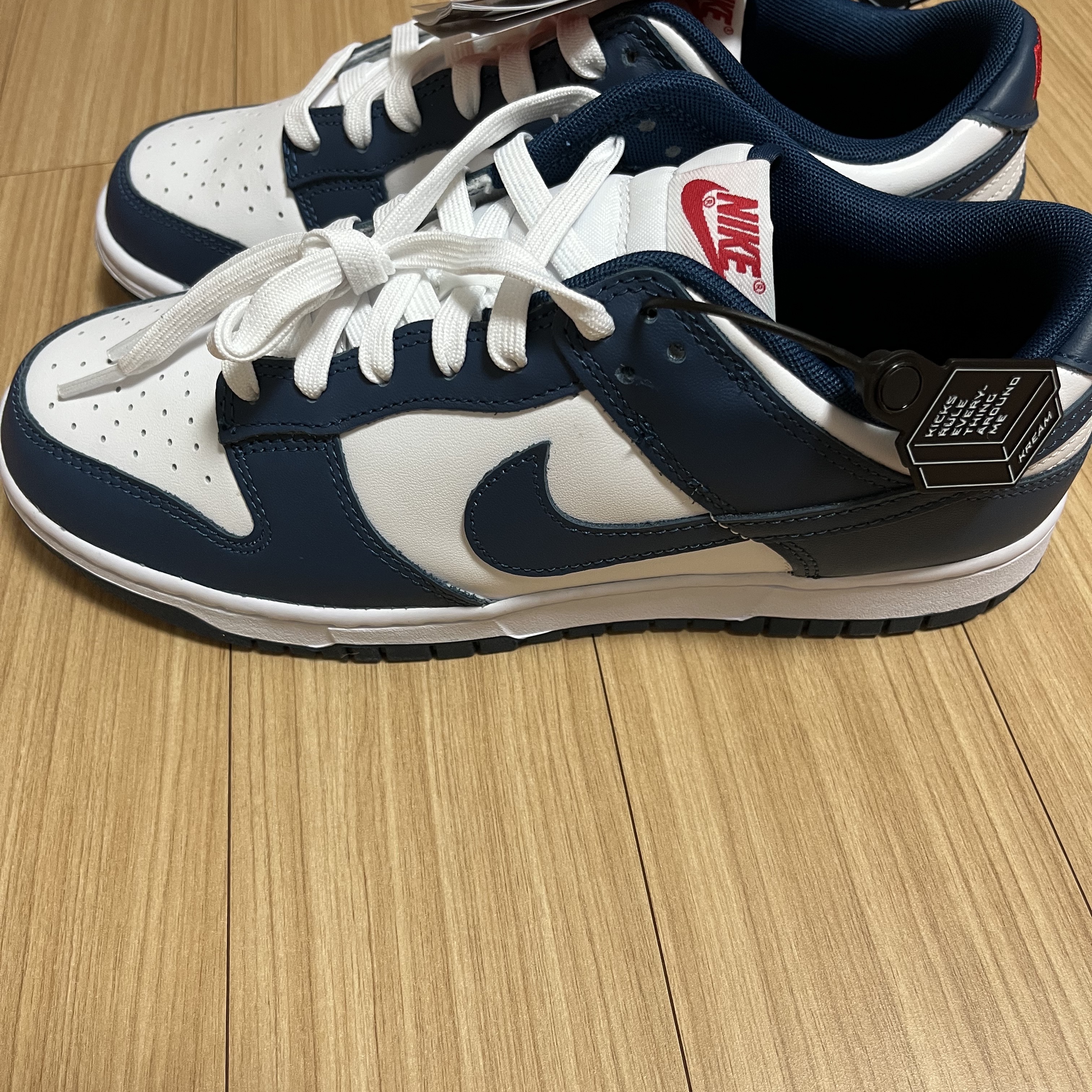Nike Dunk Low Retro Valerian Blue 착용 스타일