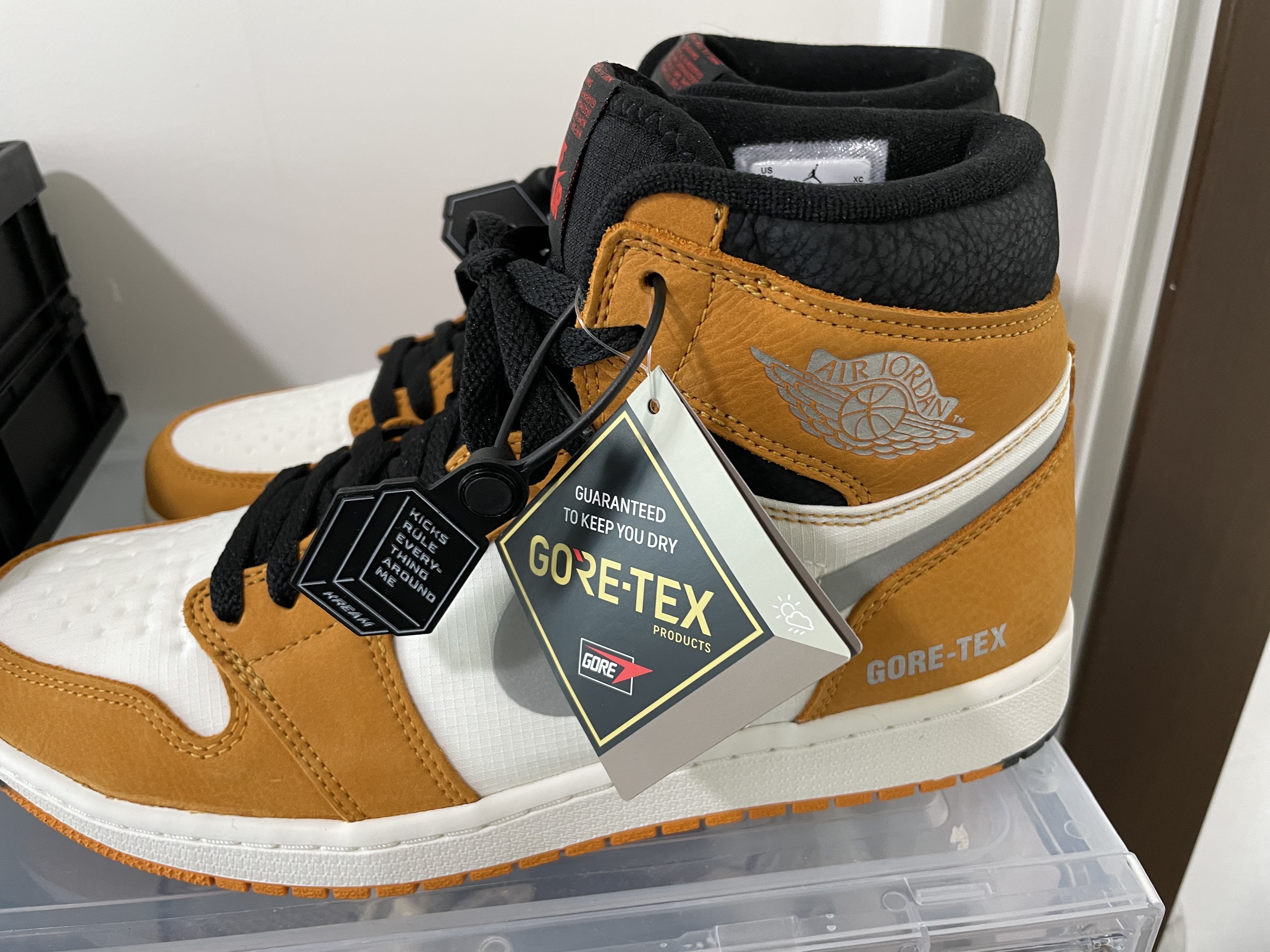 Jordan 1 Element Gore-Tex Light Curry 착용 스타일