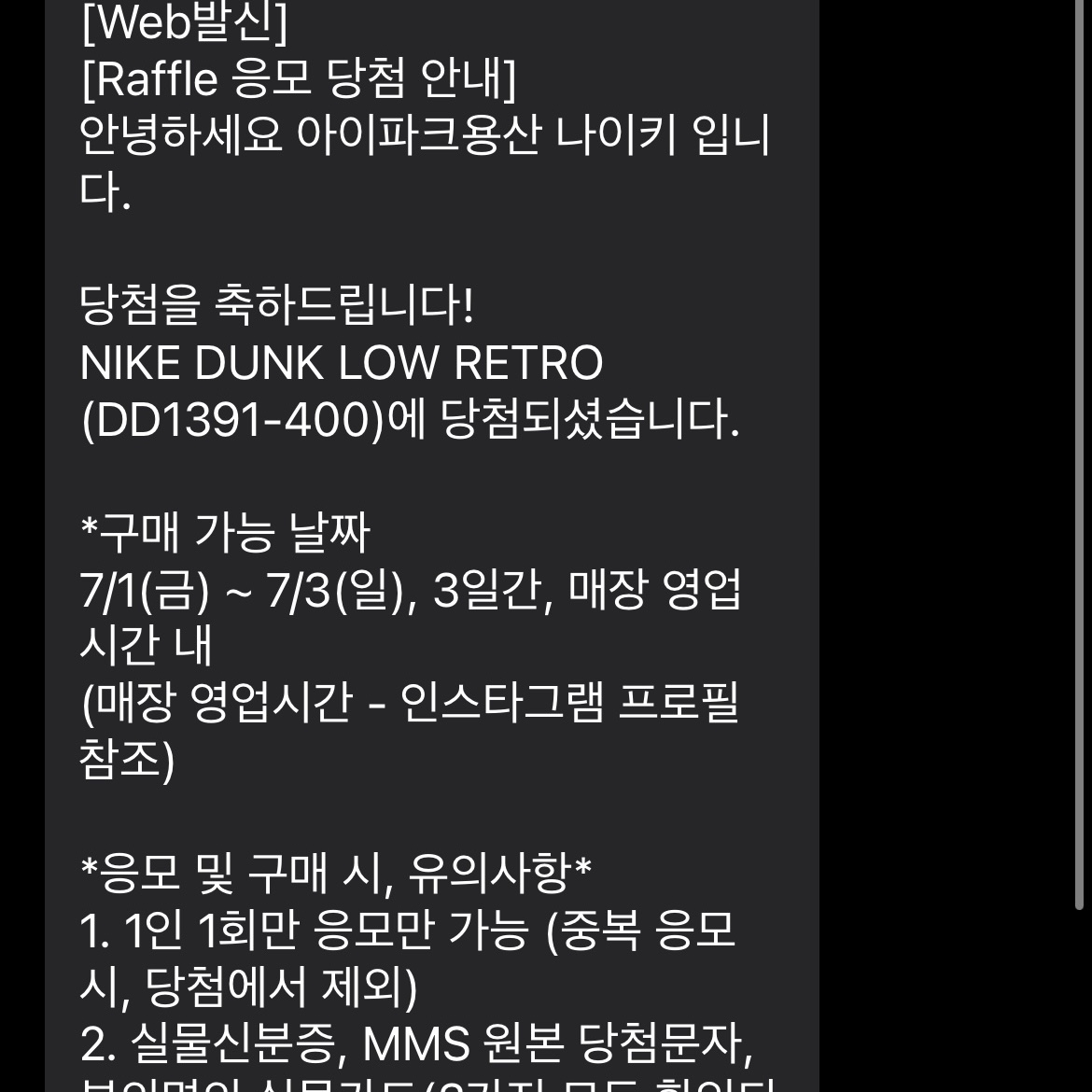 Nike Dunk Low Retro Valerian Blue 착용 스타일