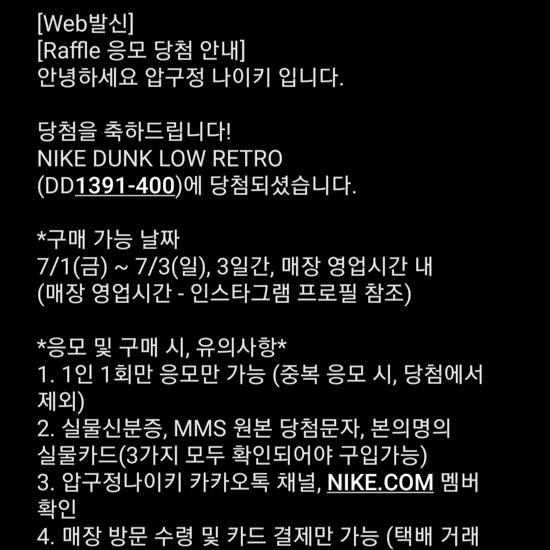 Nike Dunk Low Retro Valerian Blue 착용 스타일