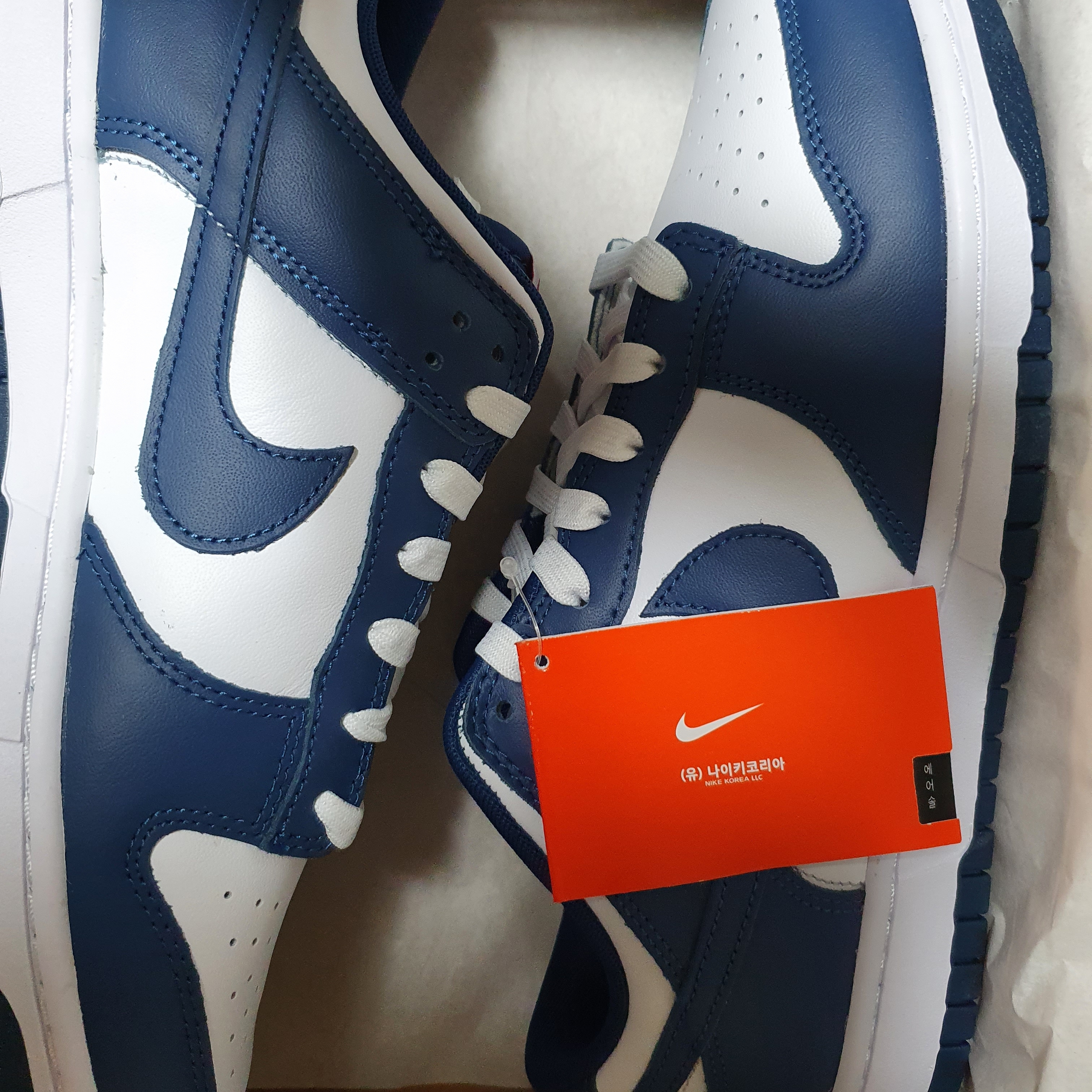 Nike Dunk Low Retro Valerian Blue 착용 스타일