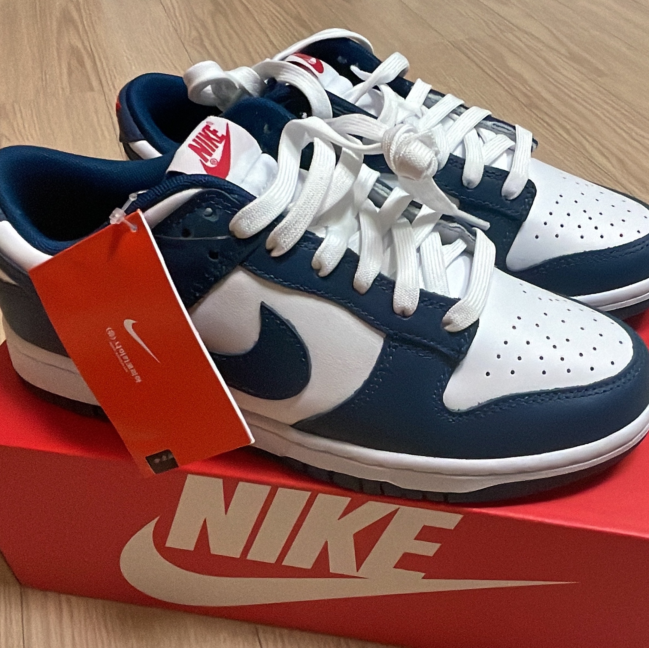 Nike Dunk Low Retro Valerian Blue 착용 스타일 - 2