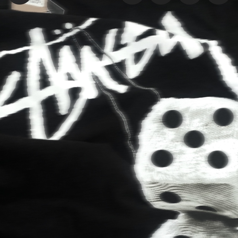 Stussy Fuzzy Dice T-Shirt Black 착용 스타일