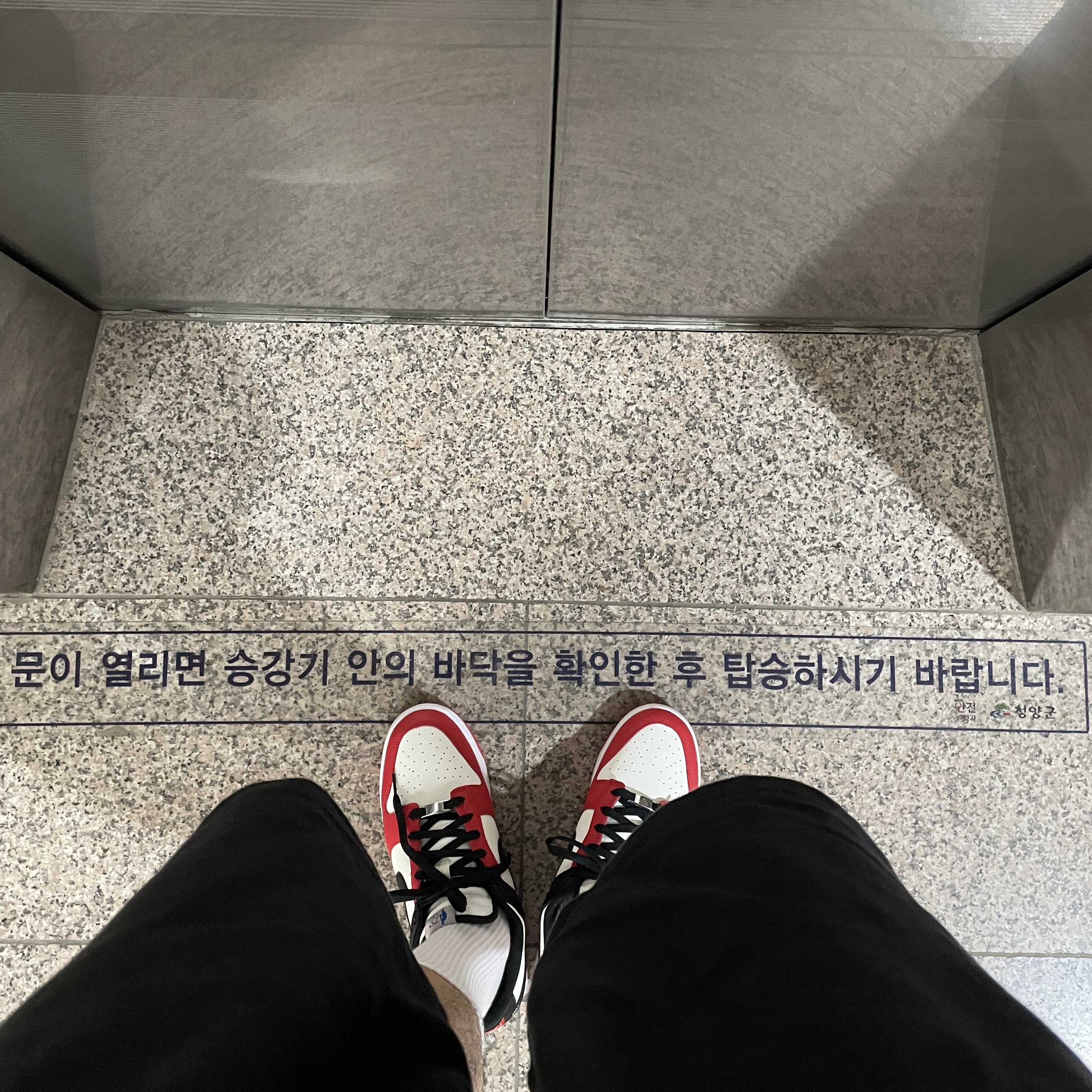 Nike x NBA Dunk Low Retro EMB Black and Chile Red 착용 스타일