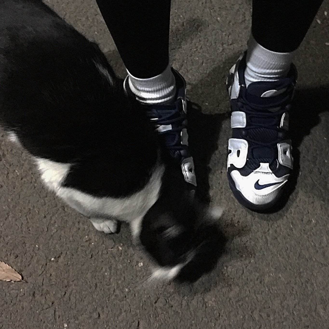 Nike Air More Uptempo Olympics 2012, (GS) Nike Air More Uptempo Olympic 2020 착용 스타일 - 2