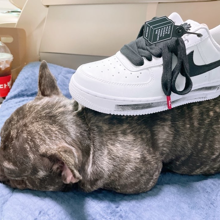 Nike x Peaceminusone Air Force 1 Low Para-Noise 2.0 착용 스타일