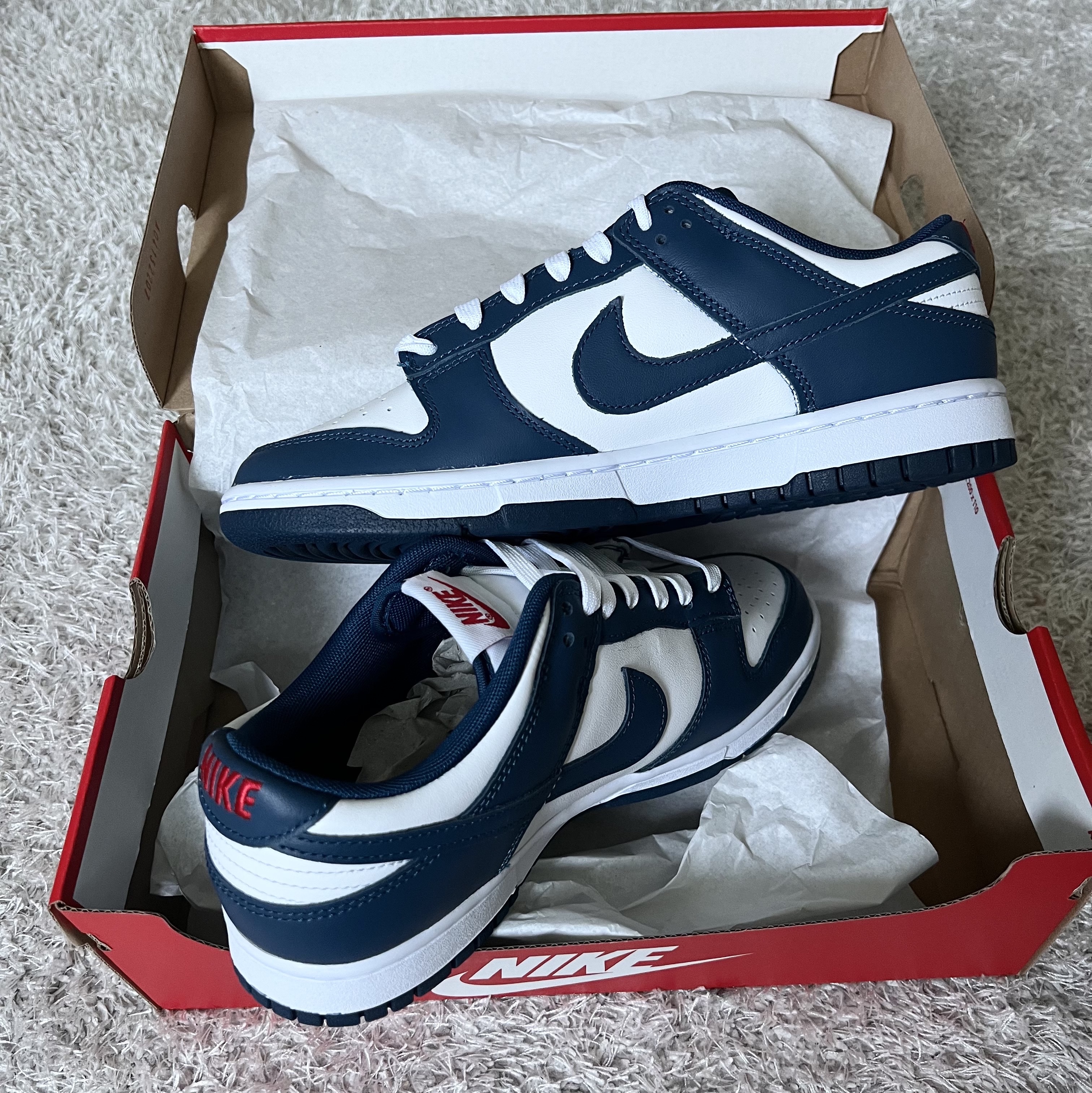 Nike Dunk Low Retro Valerian Blue 착용 스타일