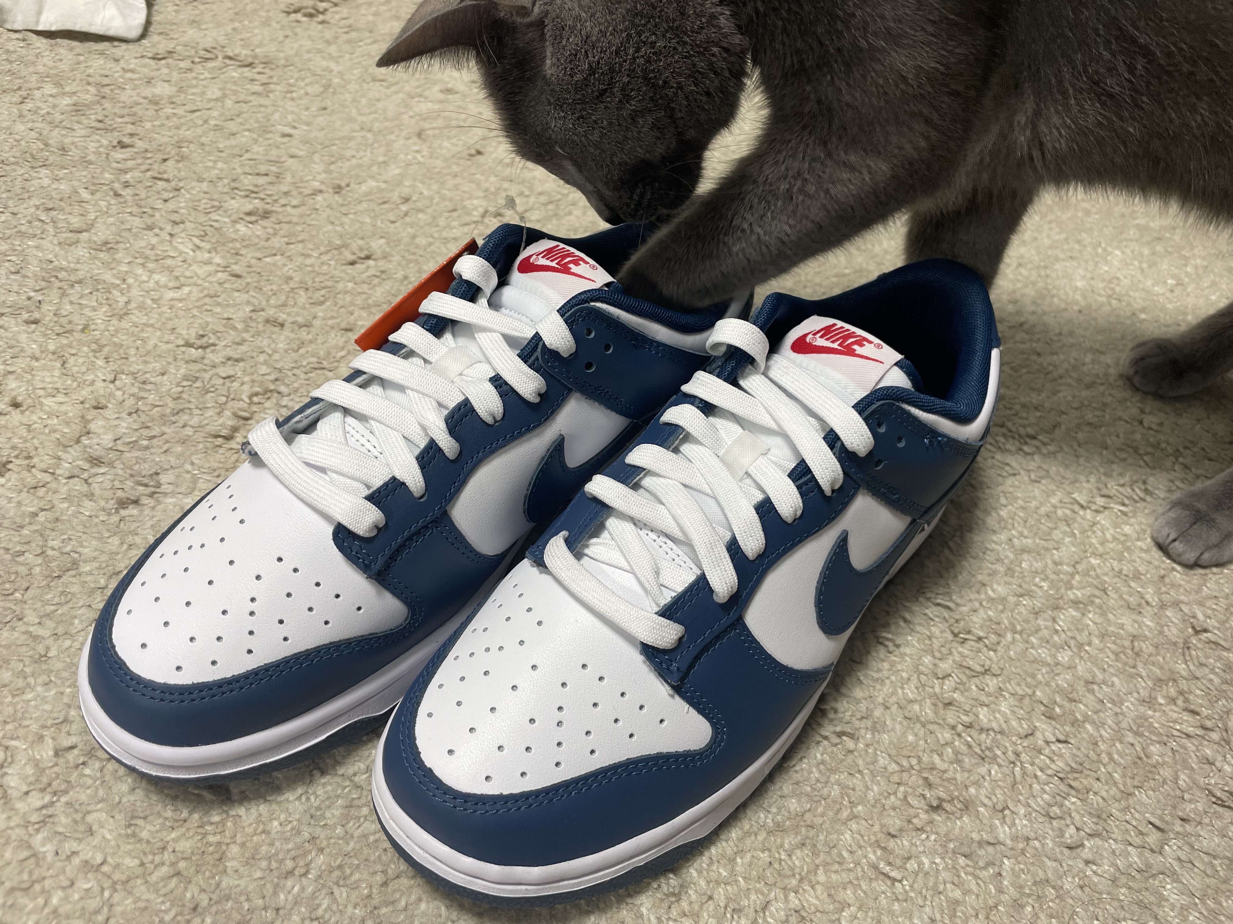Nike Dunk Low Retro Valerian Blue 착용 스타일 - 1
