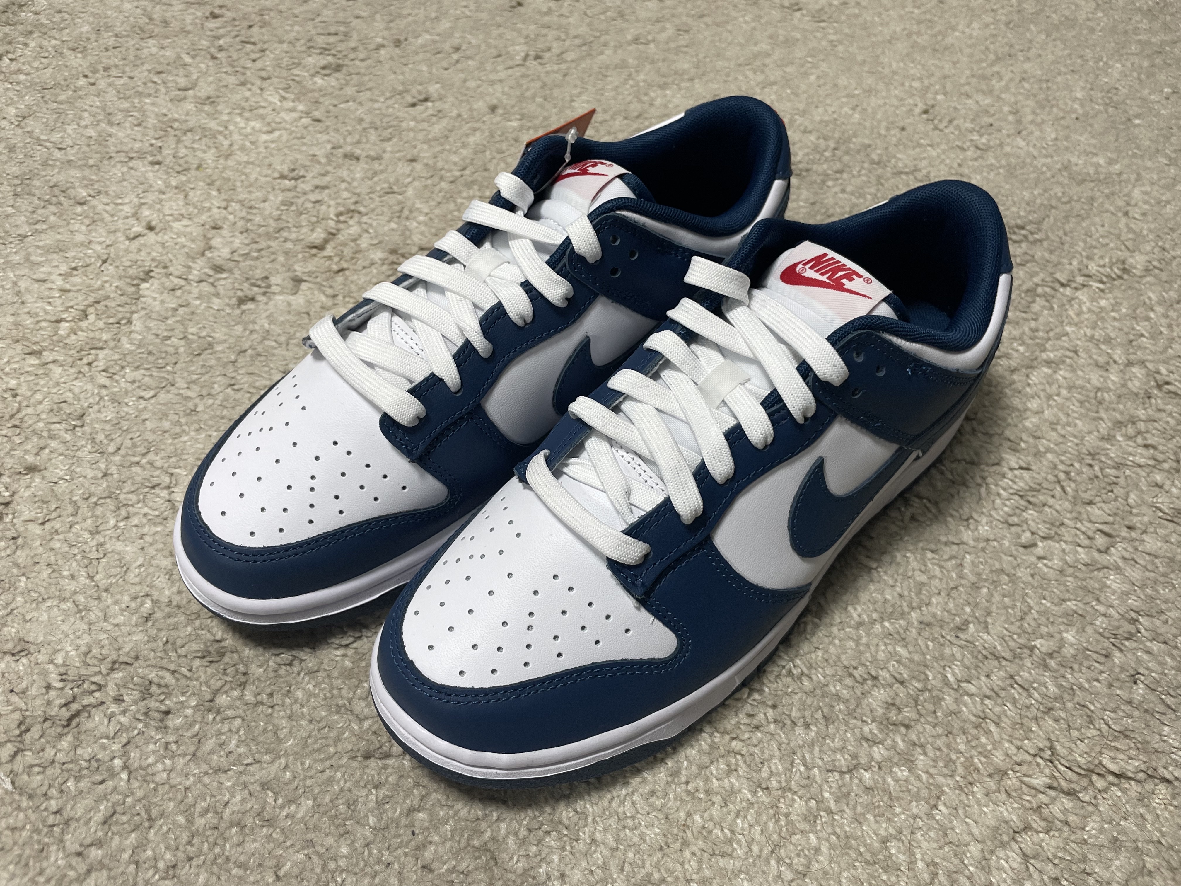 Nike Dunk Low Retro Valerian Blue 착용 스타일 - 2