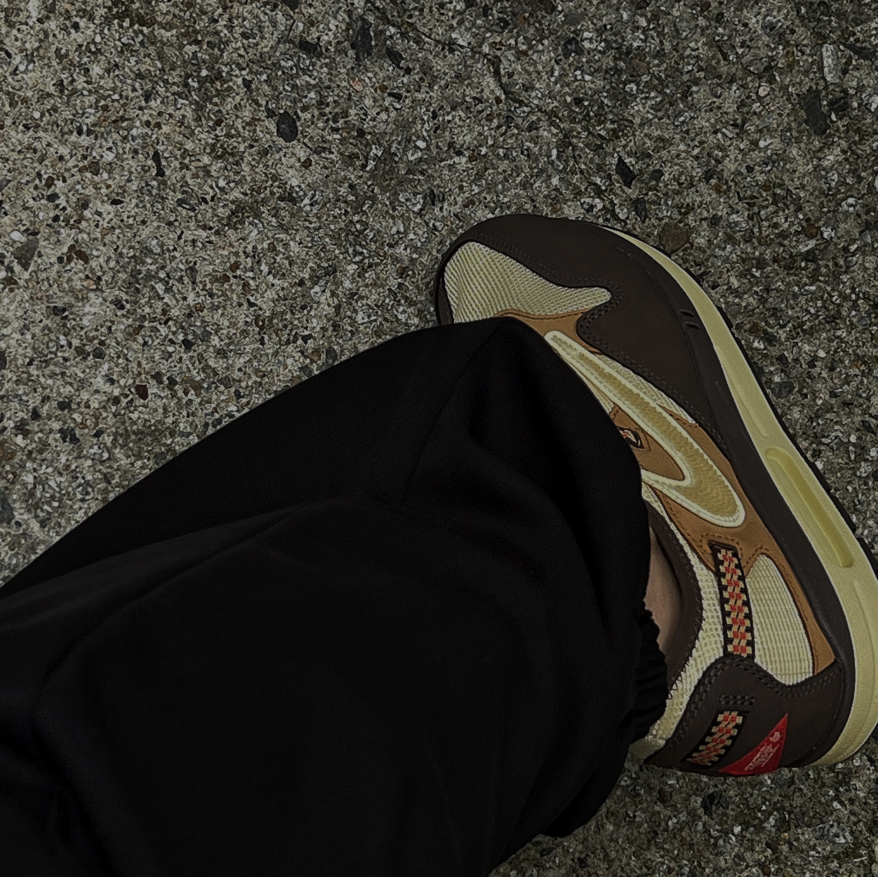 Nike x Travis Scott Air Max 1 Cact.us Brown 착용 스타일