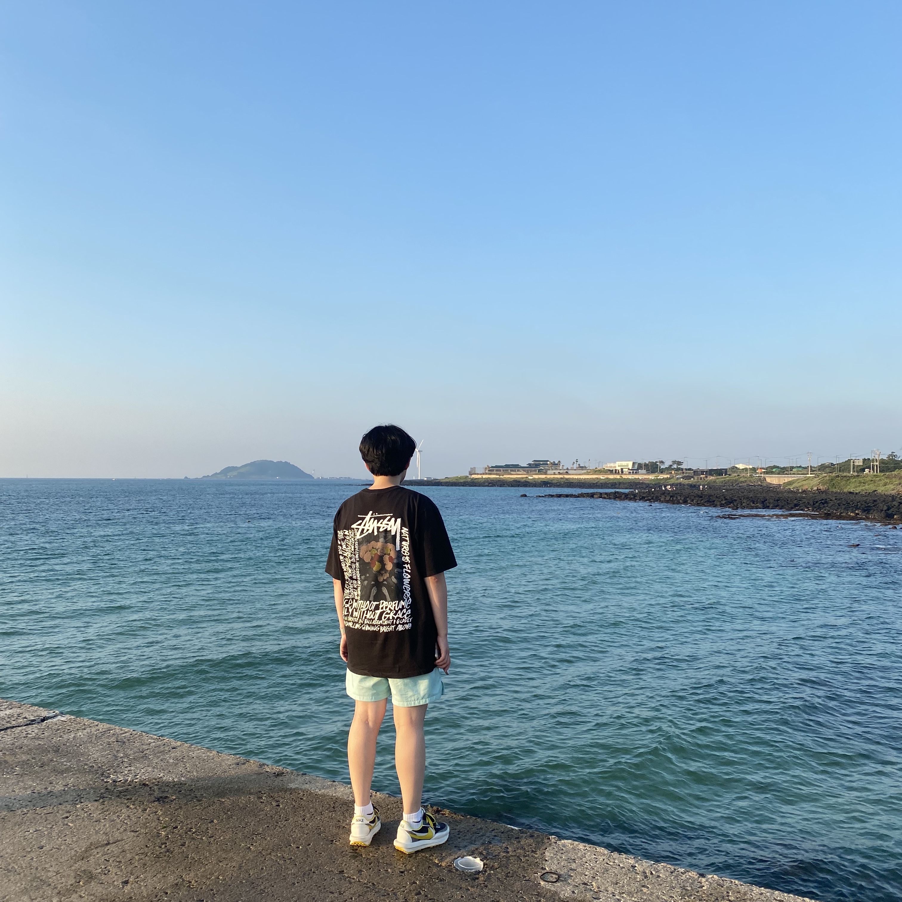 Stussy Camellias Pig. Dyed T-Shirt Black, Nike x Sacai x Undercover LDWaffle Black Bright Citron 착용 스타일