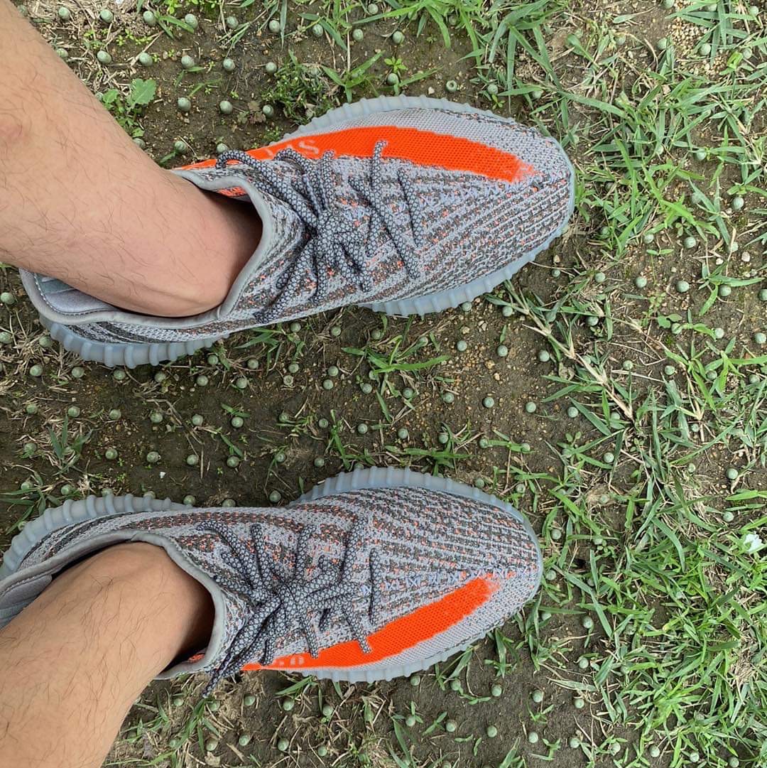 Adidas Yeezy Boost 350 V2 Beluga - Reflective 착용 스타일