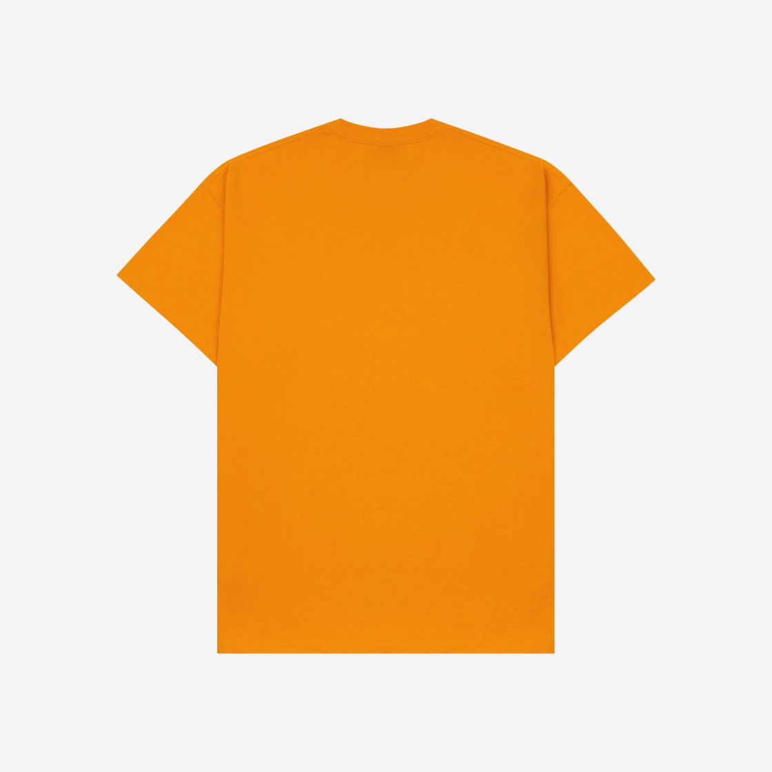 Nike ACG Logo T-Shirt Space Circuit Orange - US/EU 상세 이미지 2