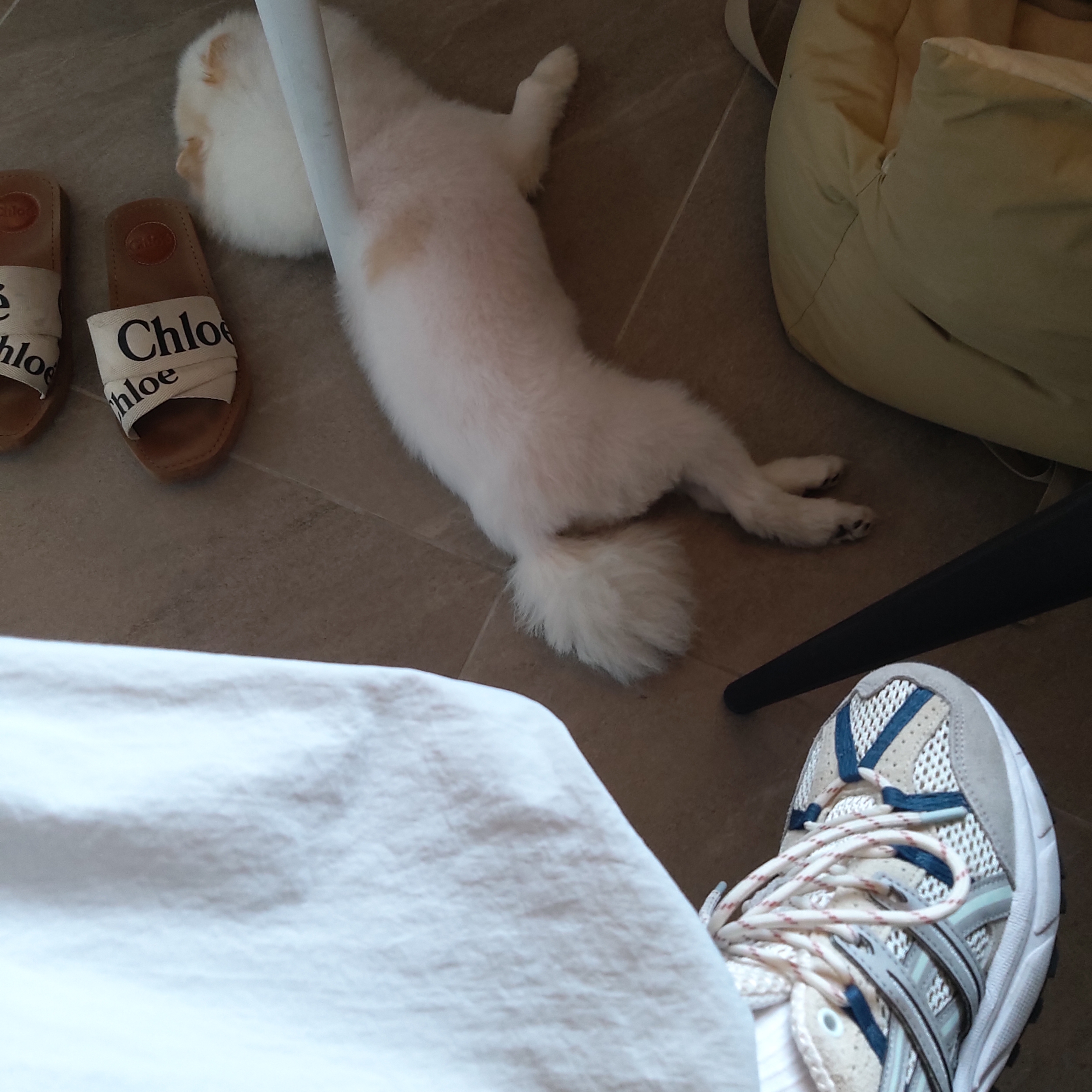 (W) Asics Gel-Sonoma 15-50 Smoke Grey Oyster Grey, (W) Chloe Woody Flat Mule White 착용 스타일 - 2