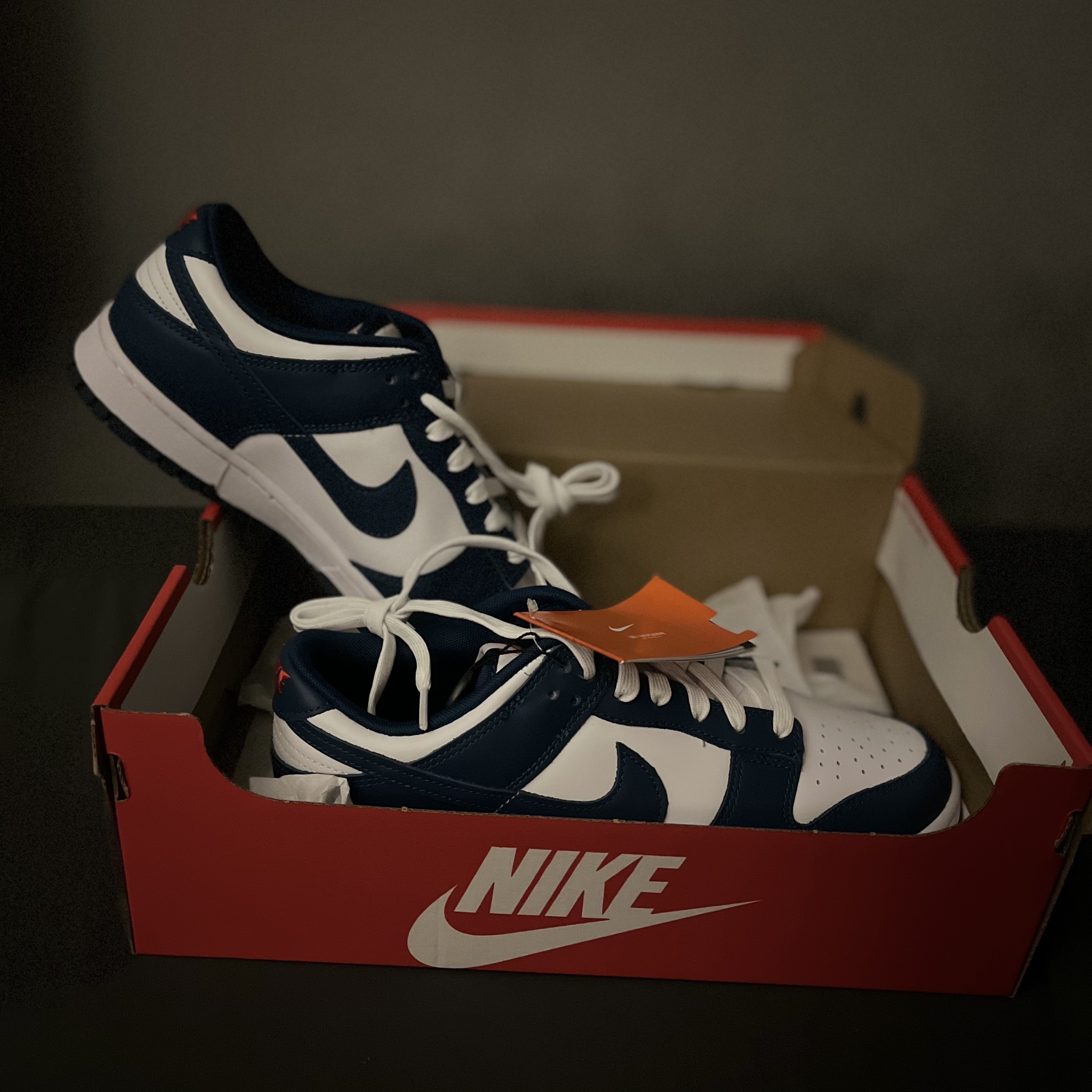 Nike Dunk Low Retro Valerian Blue 착용 스타일
