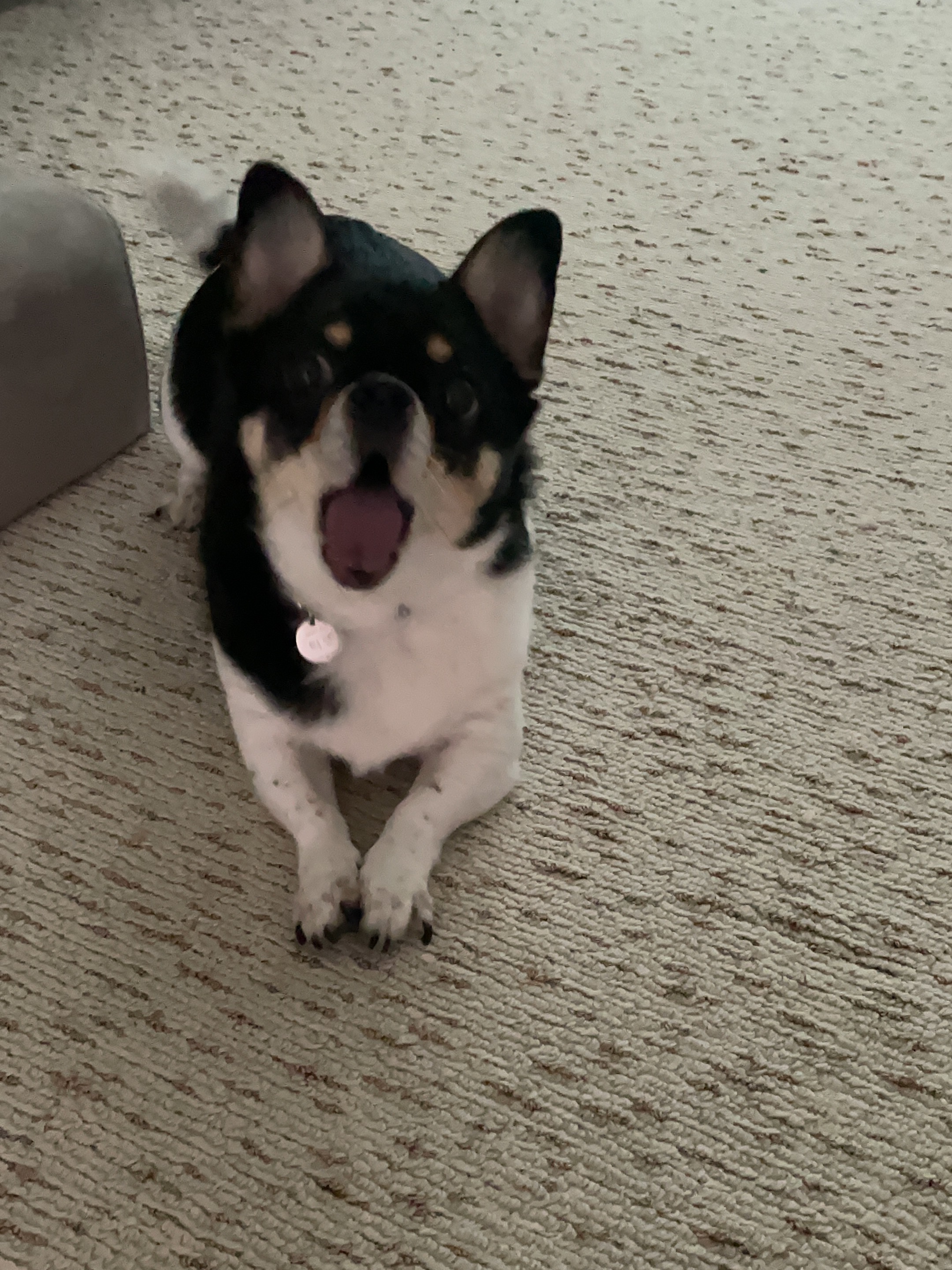 Nike SB Zoom Blazer Mid Premium Faded Black, Palace Tri-To-Help T-Shirt Baby Blue - 20FW 착용 스타일 - 3