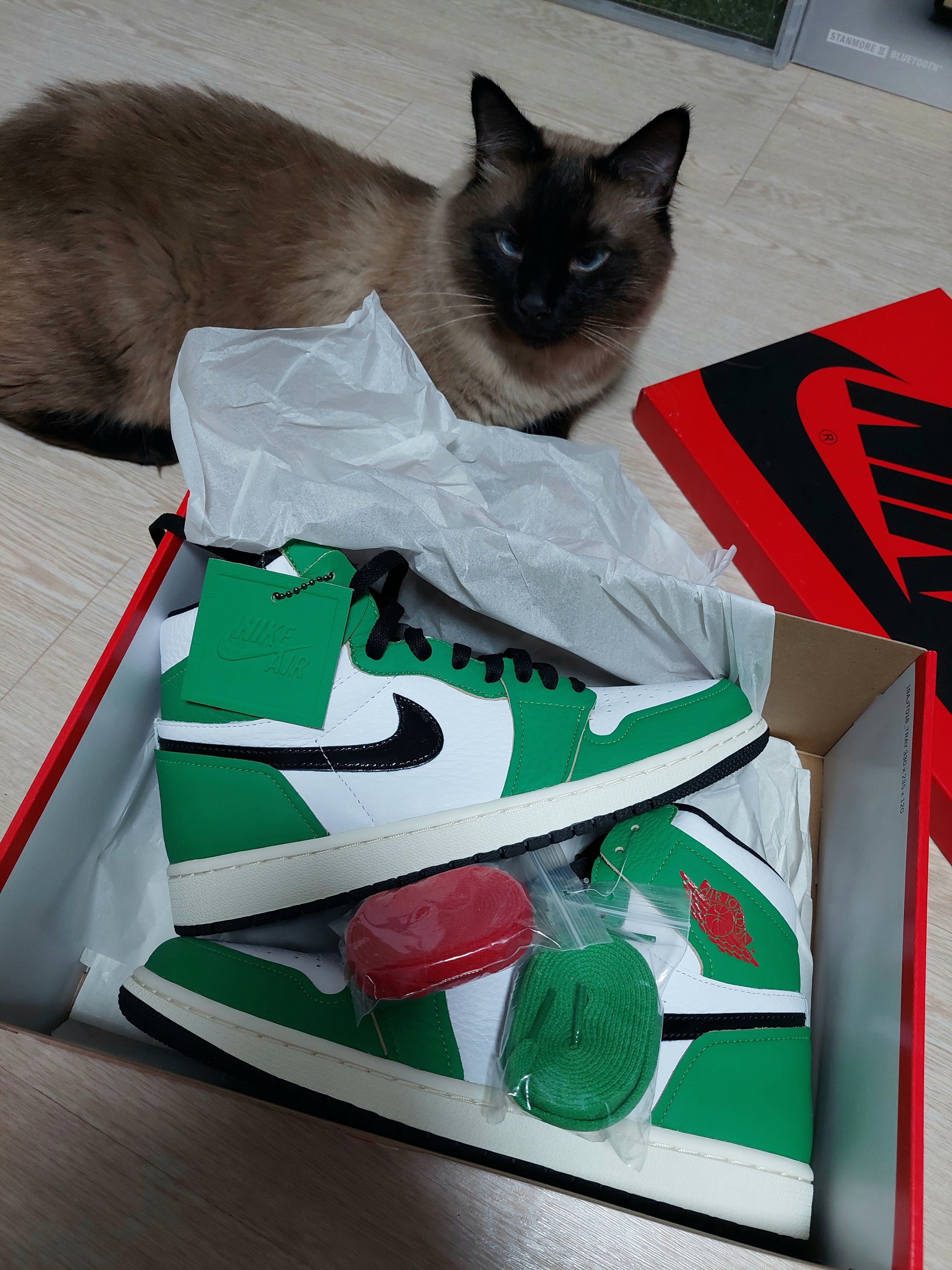 (W) Jordan 1 Retro High OG Lucky Green 착용 스타일 - 1