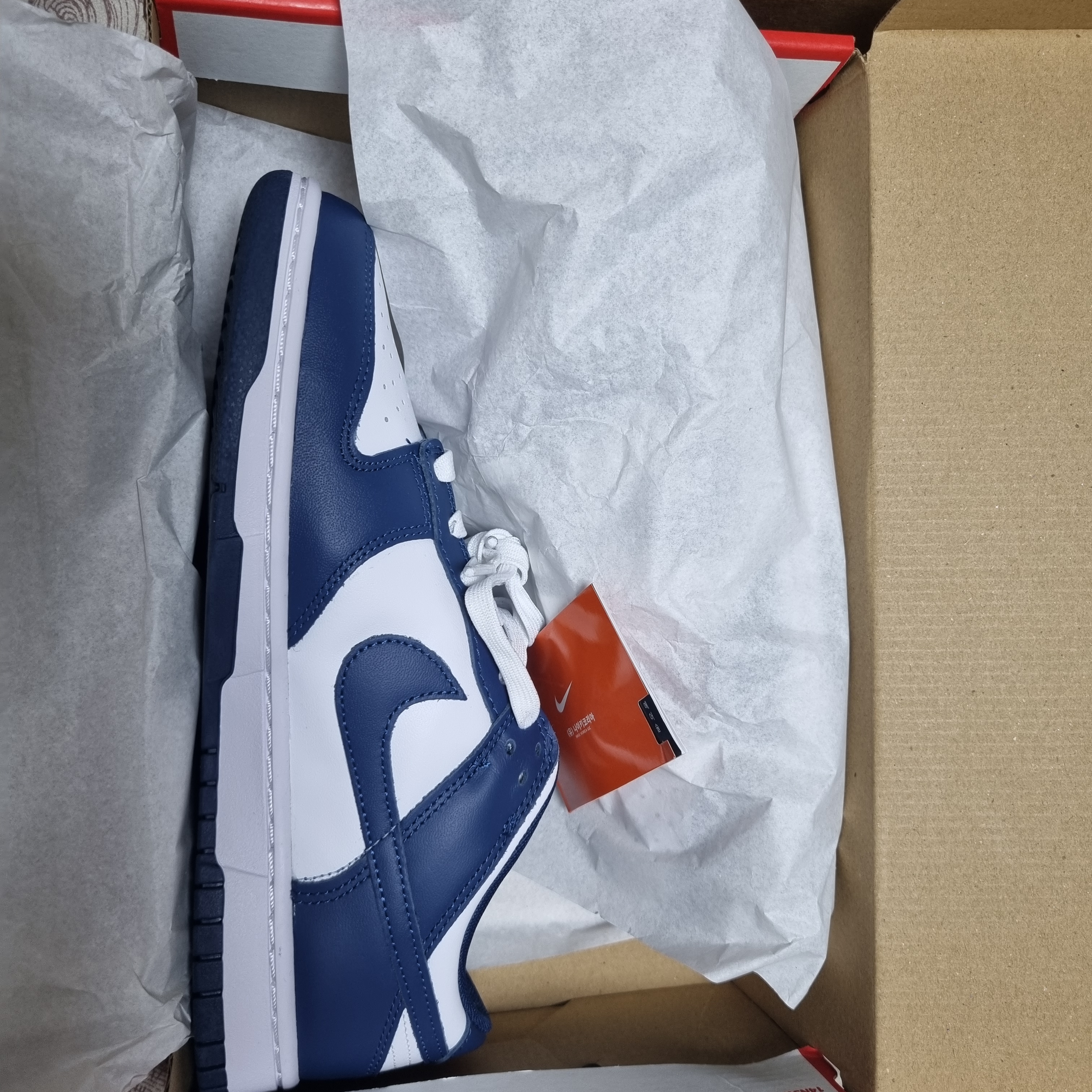 Nike Dunk Low Retro Valerian Blue 착용 스타일