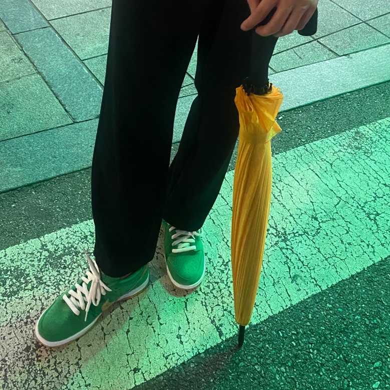 Nike SB Dunk Low Pro Shamrock 착용 스타일