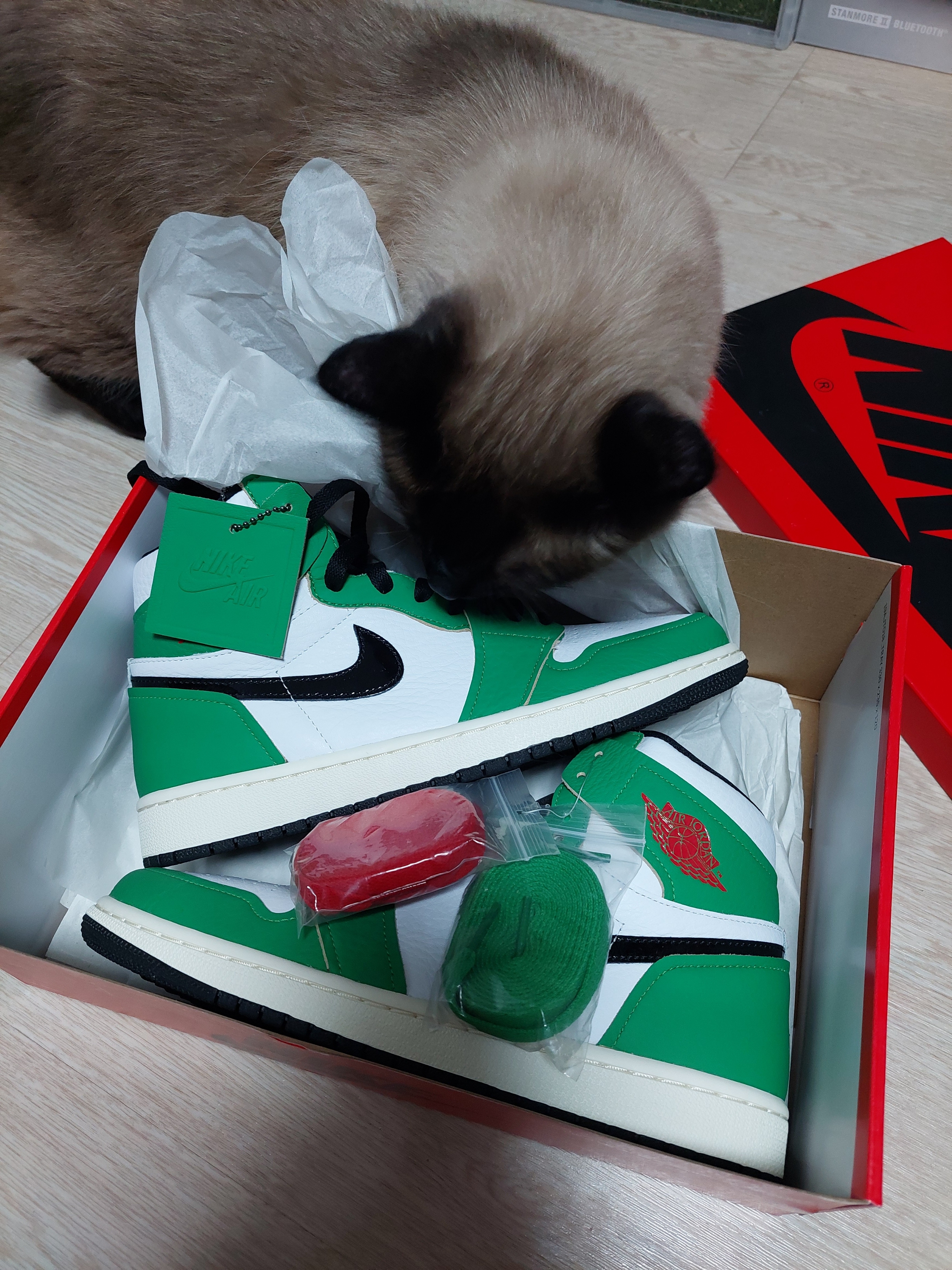 (W) Jordan 1 Retro High OG Lucky Green 착용 스타일 - 2
