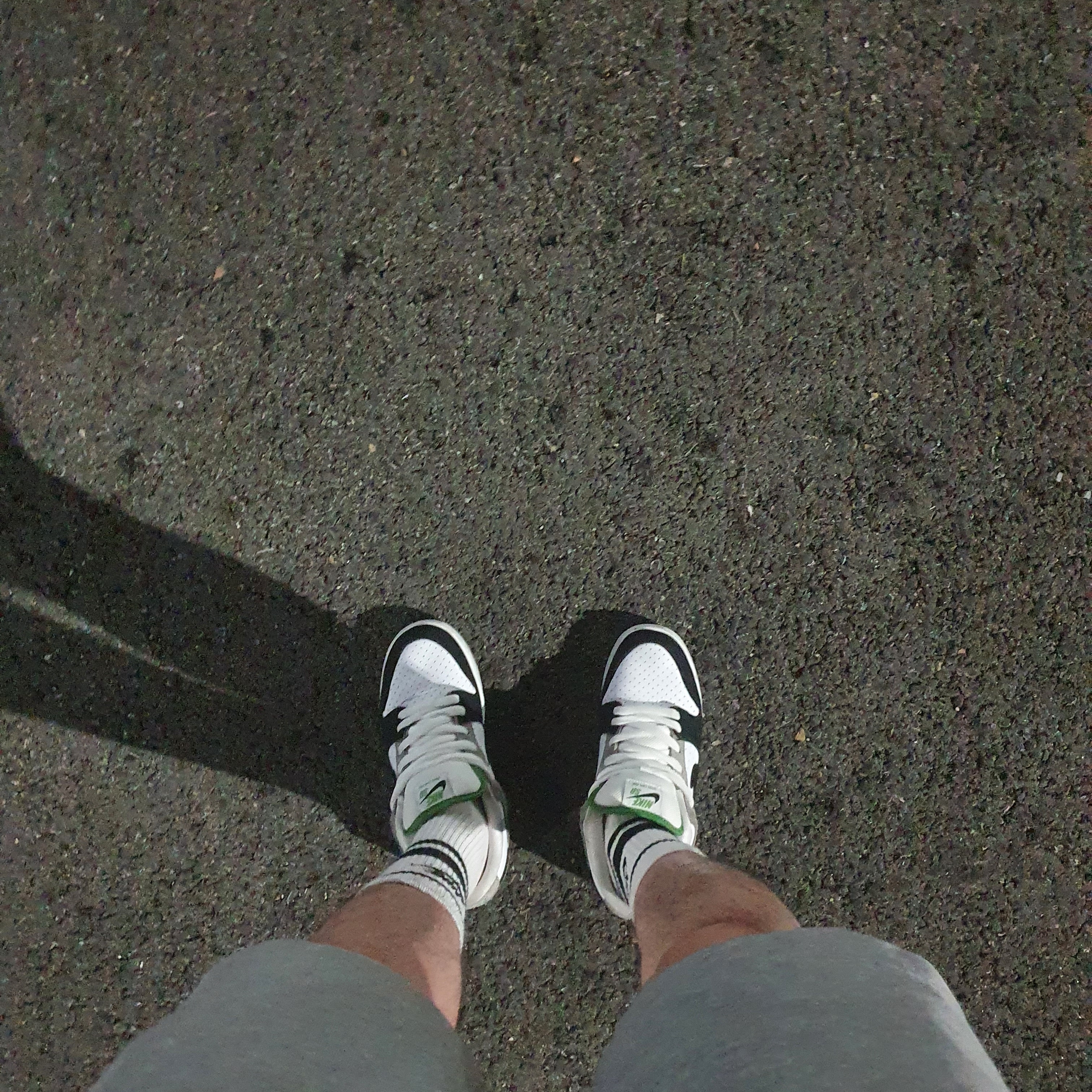 Nike SB Dunk Low Pro Chlorophyll 착용 스타일