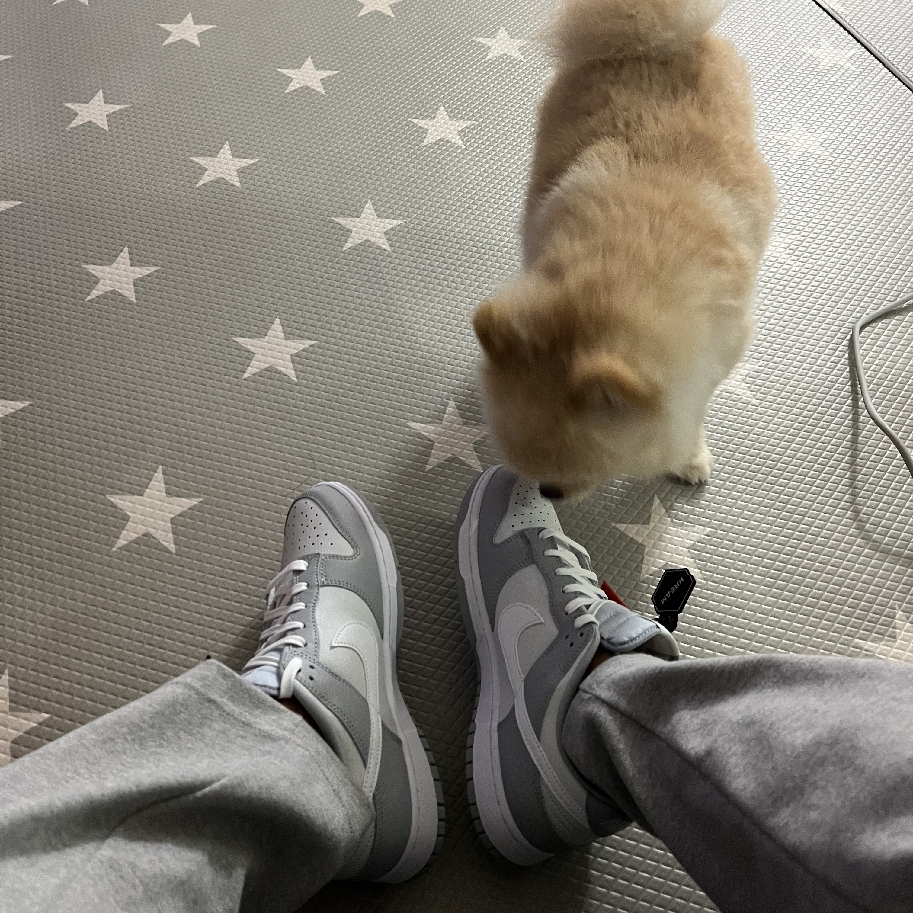 Nike Dunk Low Retro Wolf Grey 착용 스타일