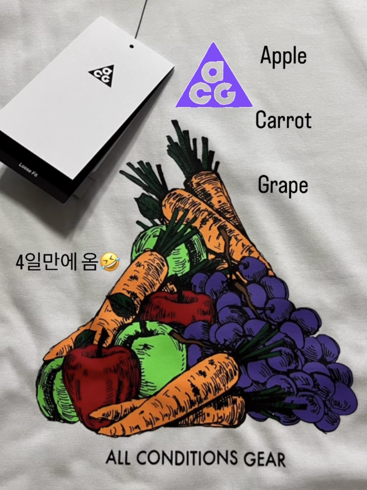 Nike ACG Fruit and Veggies T-Shirt - Asia 착용 스타일