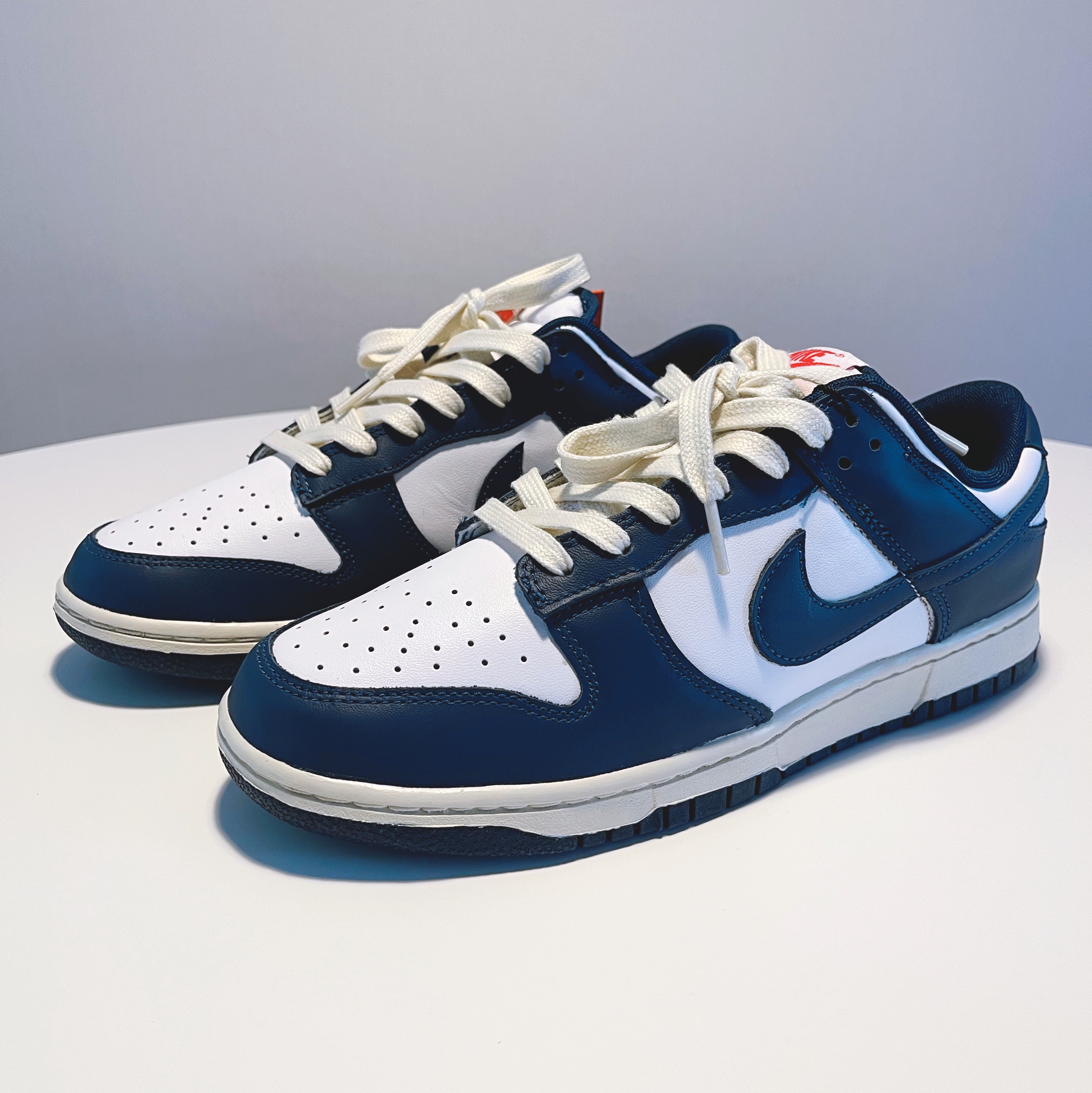 Nike Dunk Low Retro Valerian Blue 착용 스타일