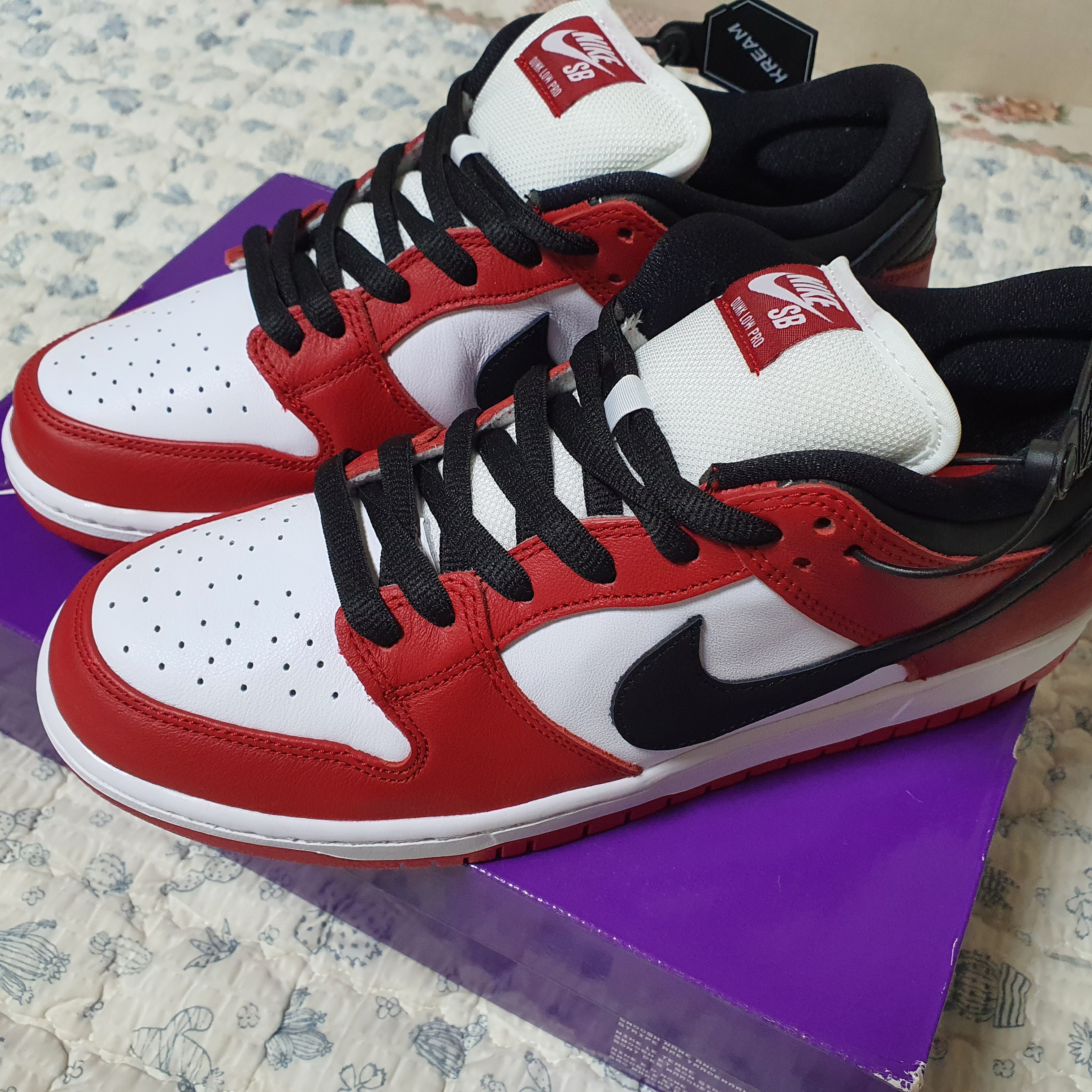 Nike SB Dunk Low Pro Chicago 착용 스타일