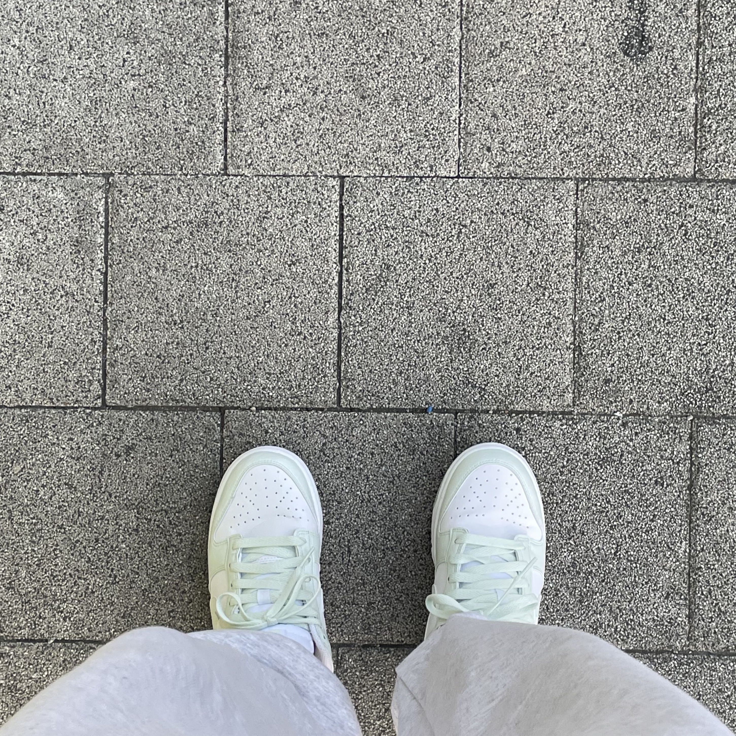 (W) Nike Dunk Low Next Nature Barely Green and White 착용 스타일