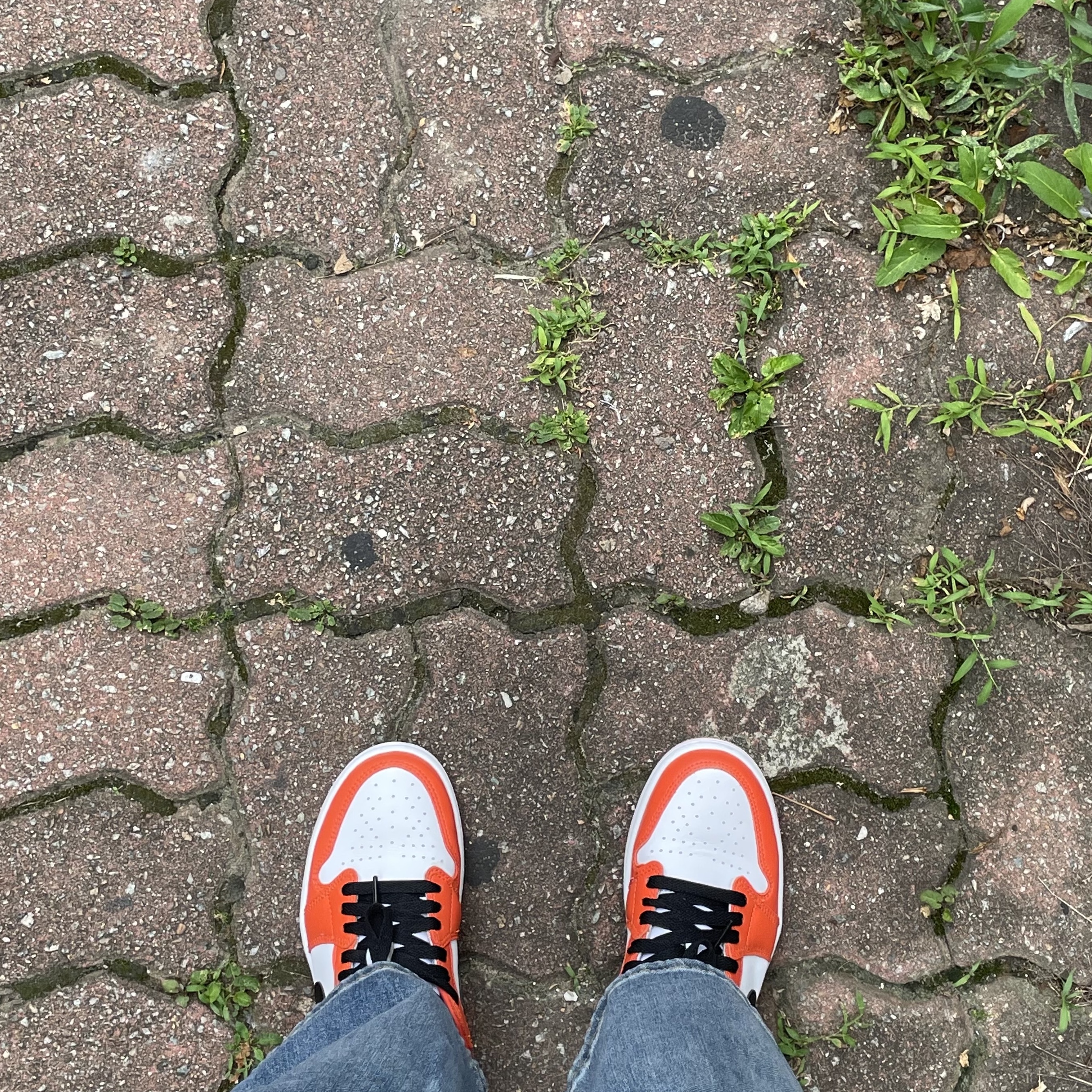 Jordan 1 Low OG Starfish, (W) Jordan 1 Low OG Starfish 착용 스타일