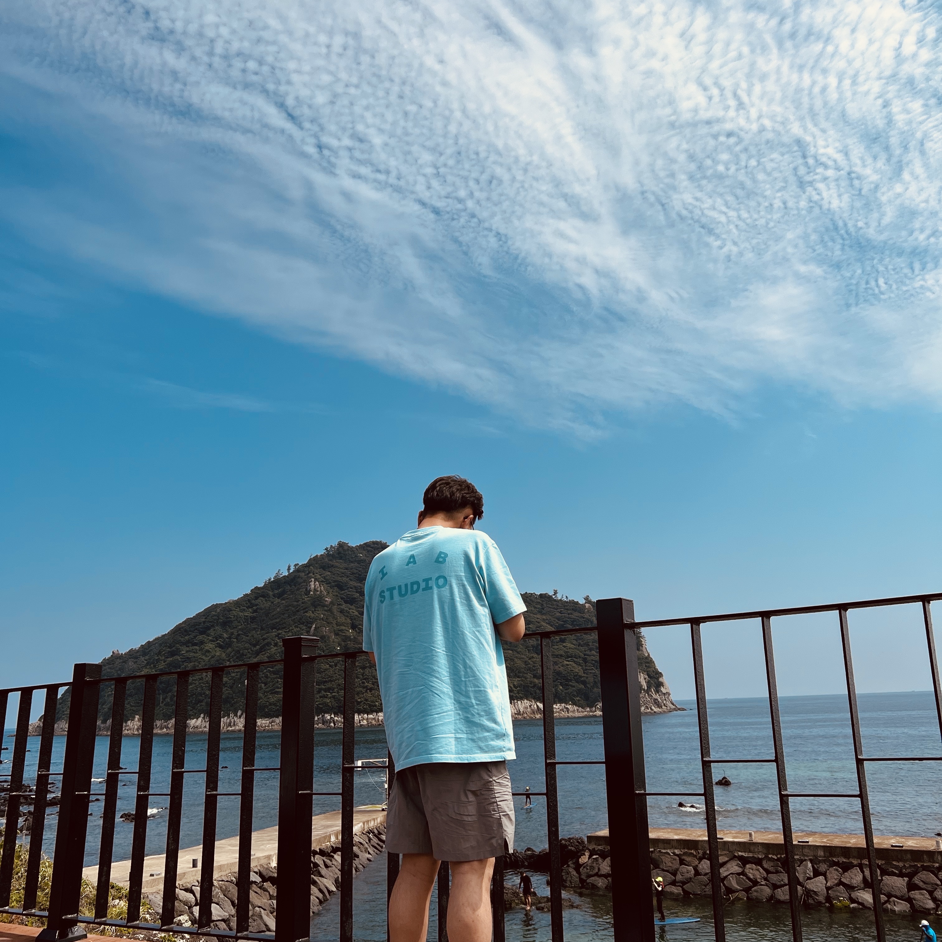 IAB Studio Woven Shorts Gray, IAB Studio Pigment T-Shirt Cyan 착용 스타일 - 2