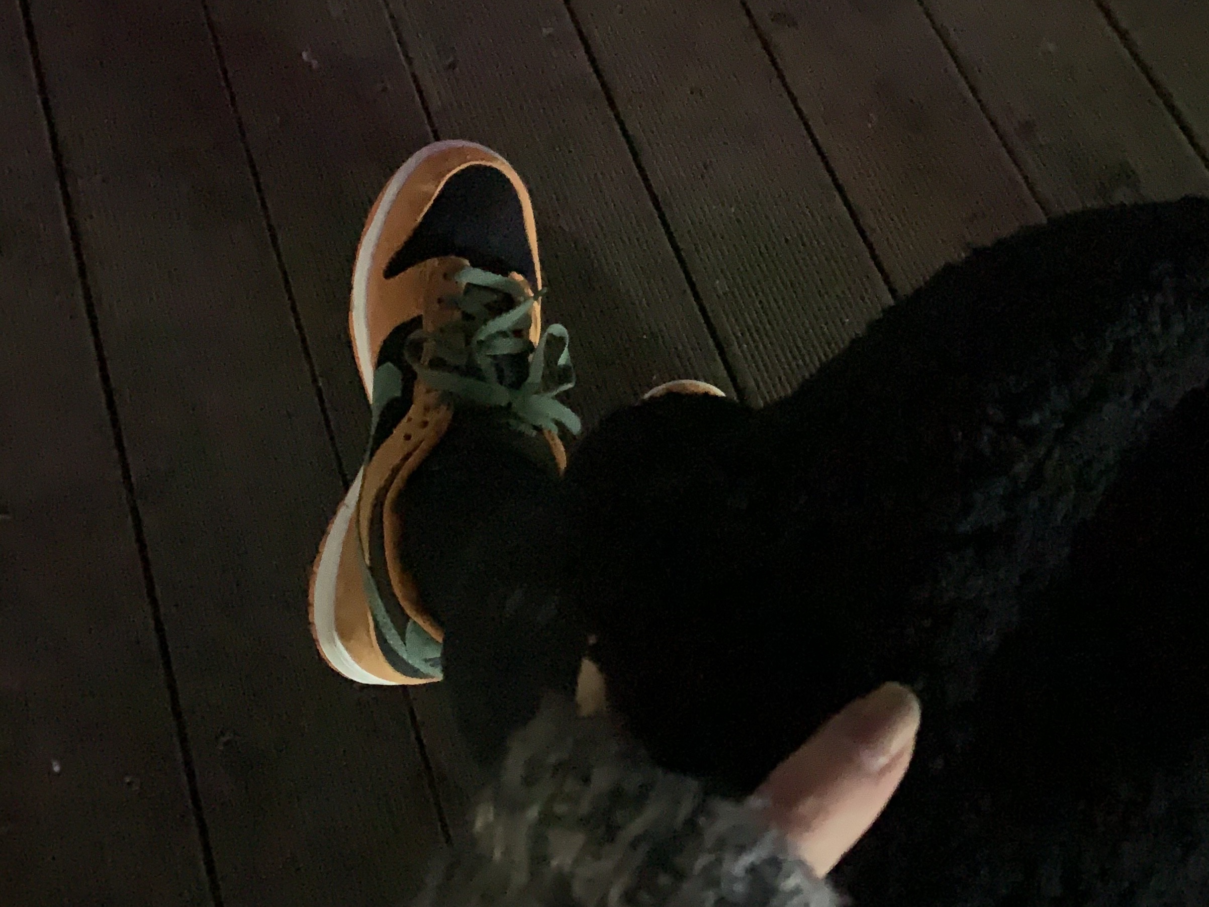 Nike Dunk Low SP Ceramic 착용 스타일 - 4