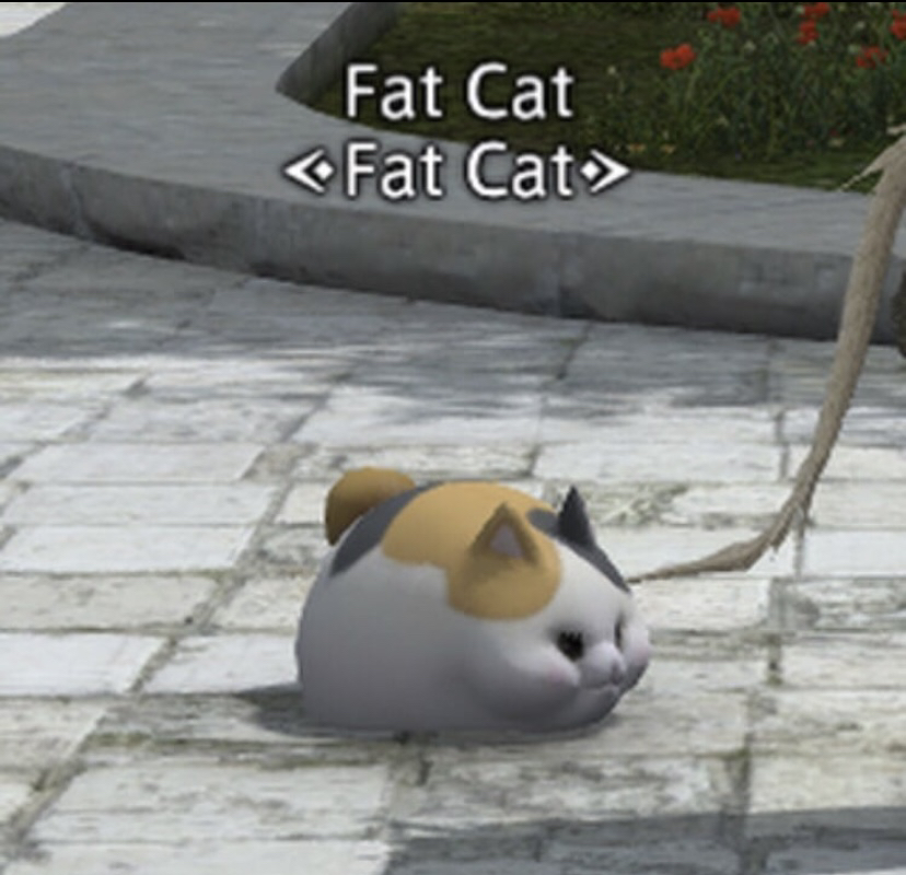 관심 유저 프로필 이미지