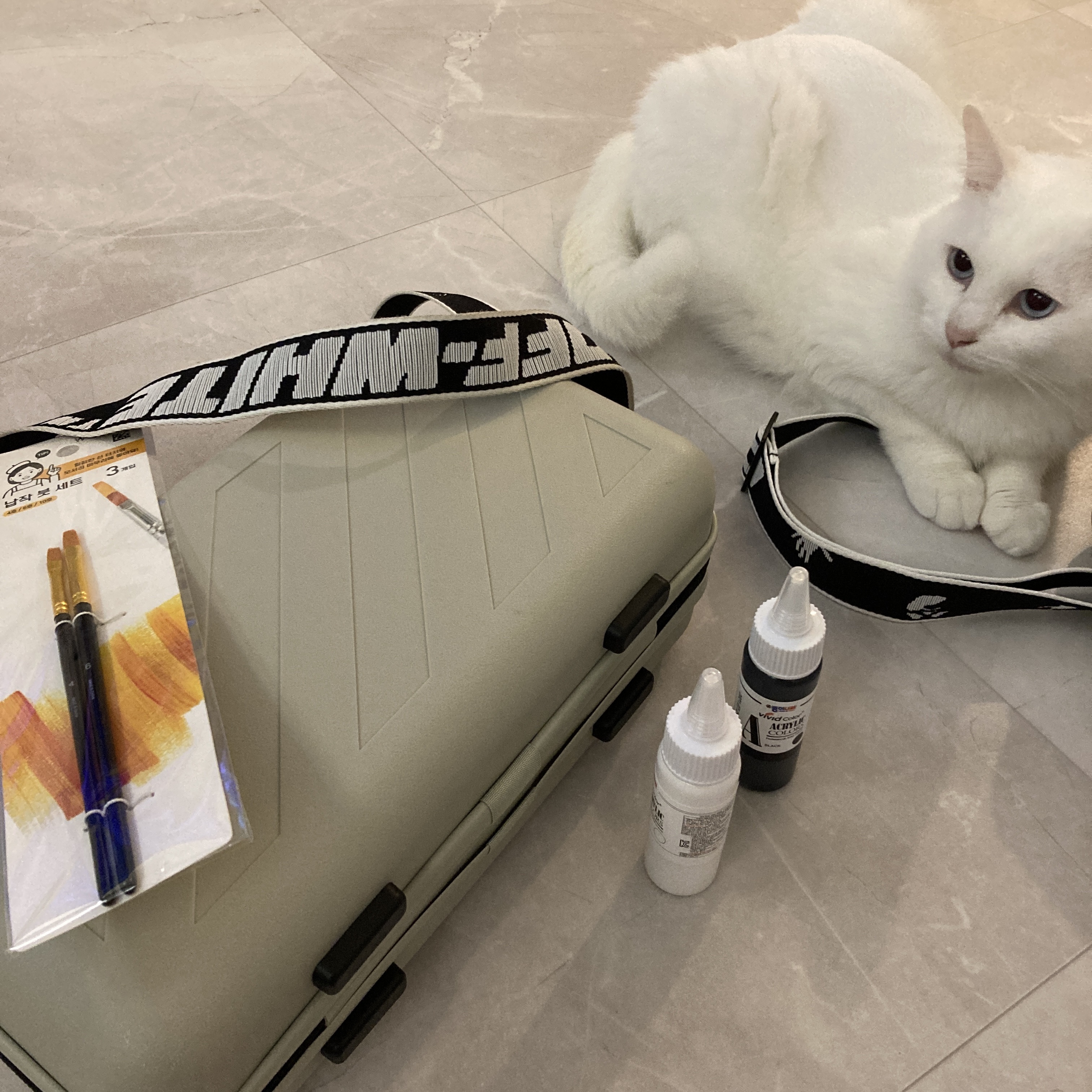 Off-White x Amore Pacific Protection Box (Without Cosmetics) 착용 스타일 - 1