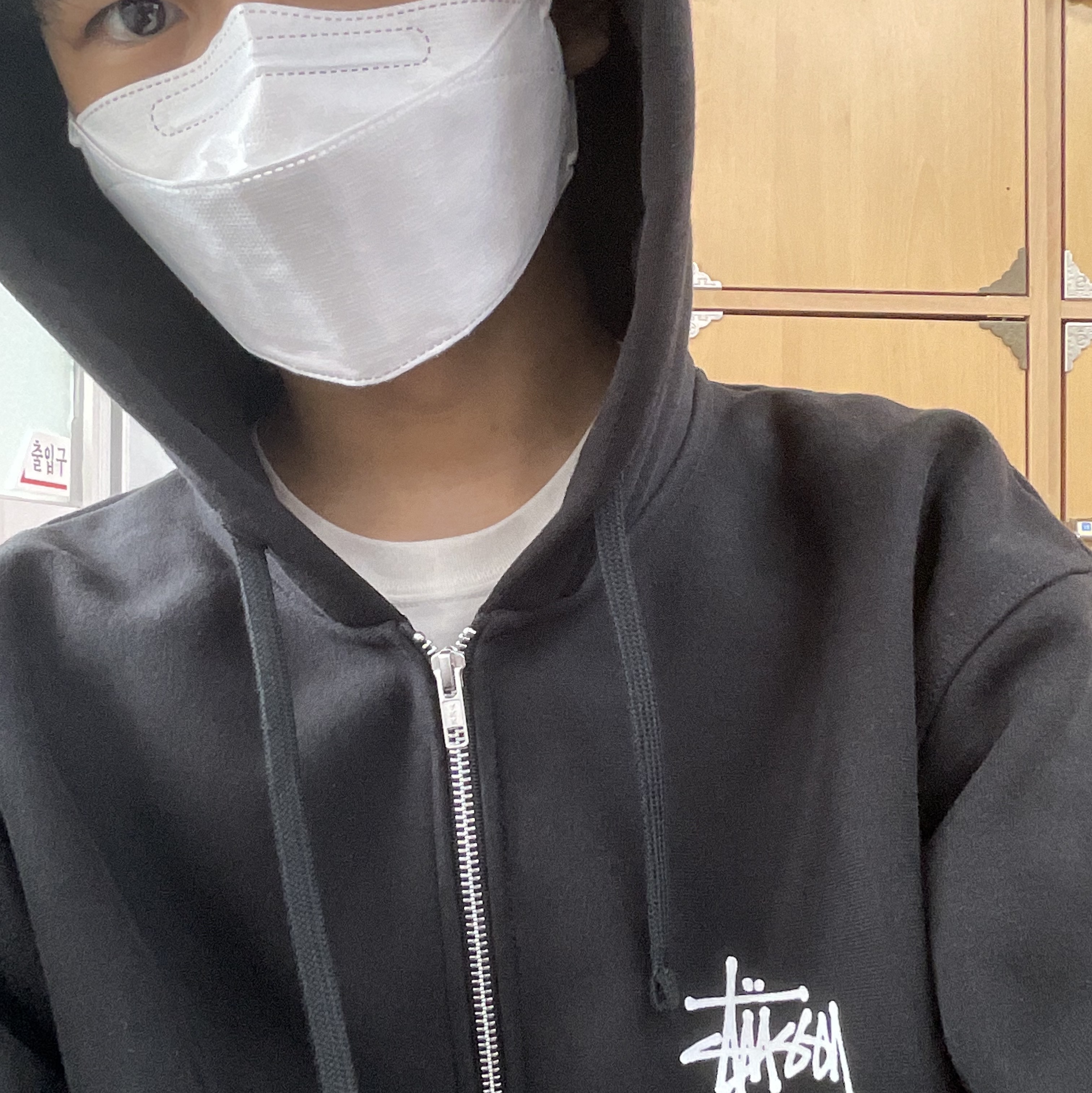 Stussy Basic Stussy Zip Hoodie Black 2022 착용 스타일