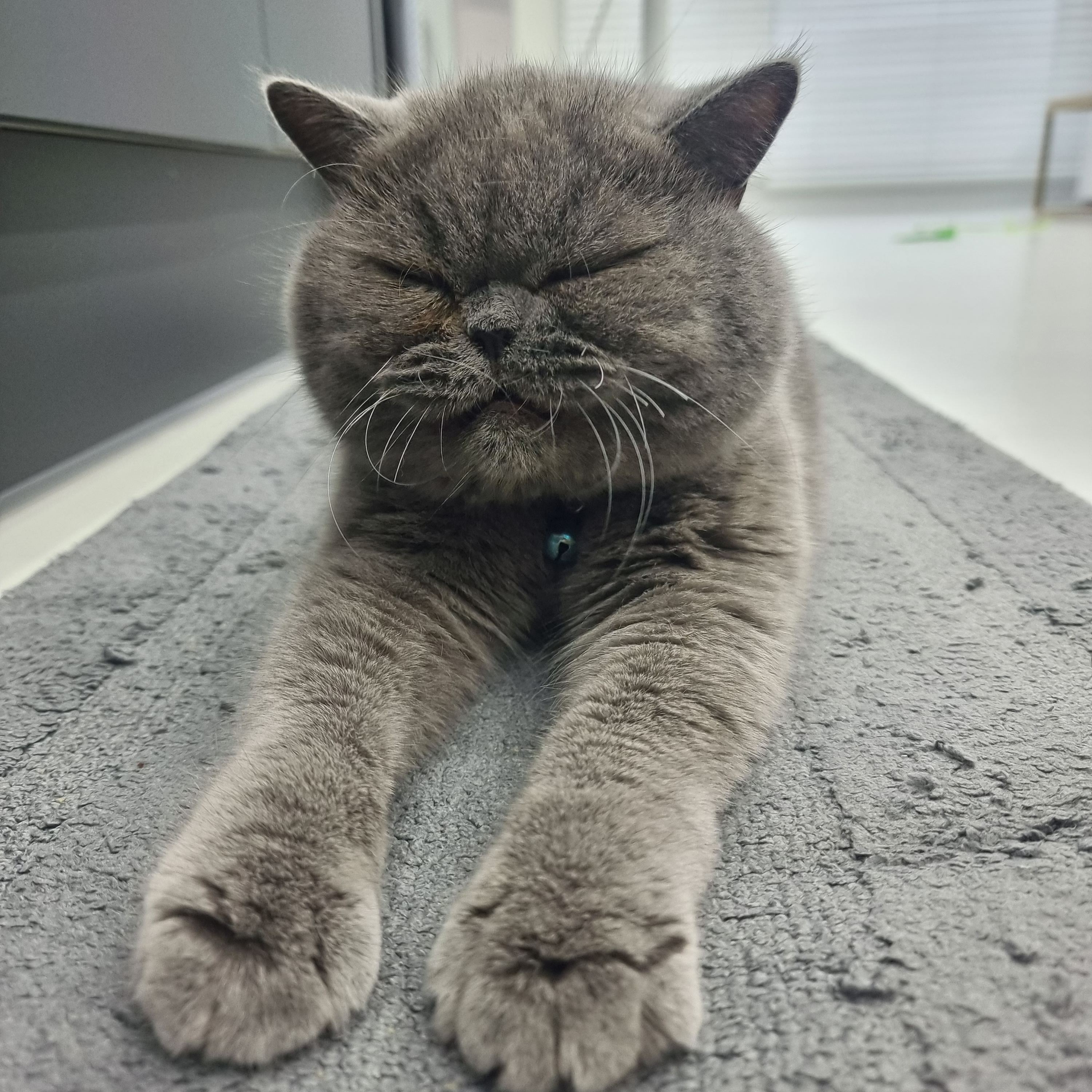 空の星ちゃん님의 스타일