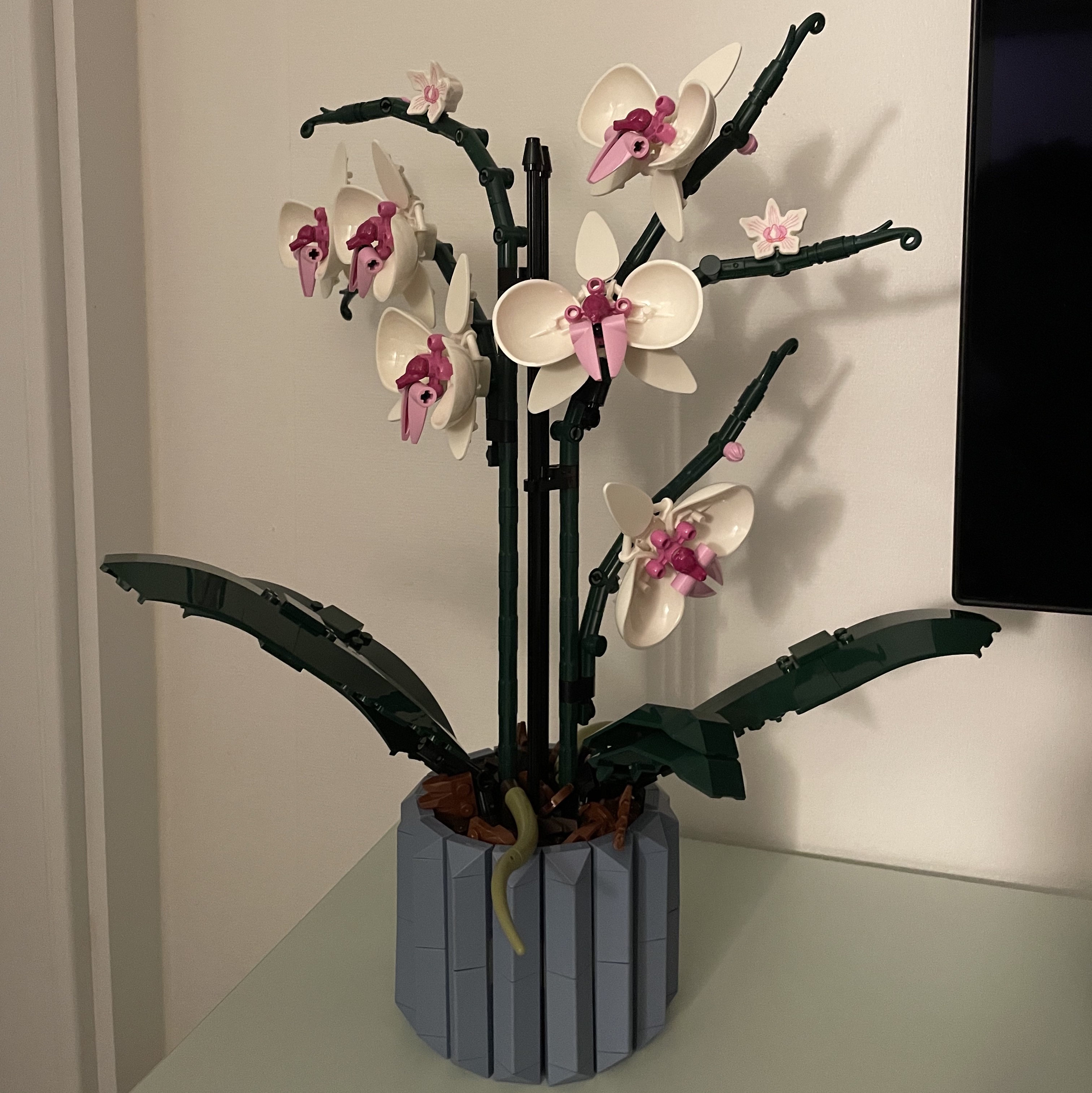 Lego Orchid 착용 스타일