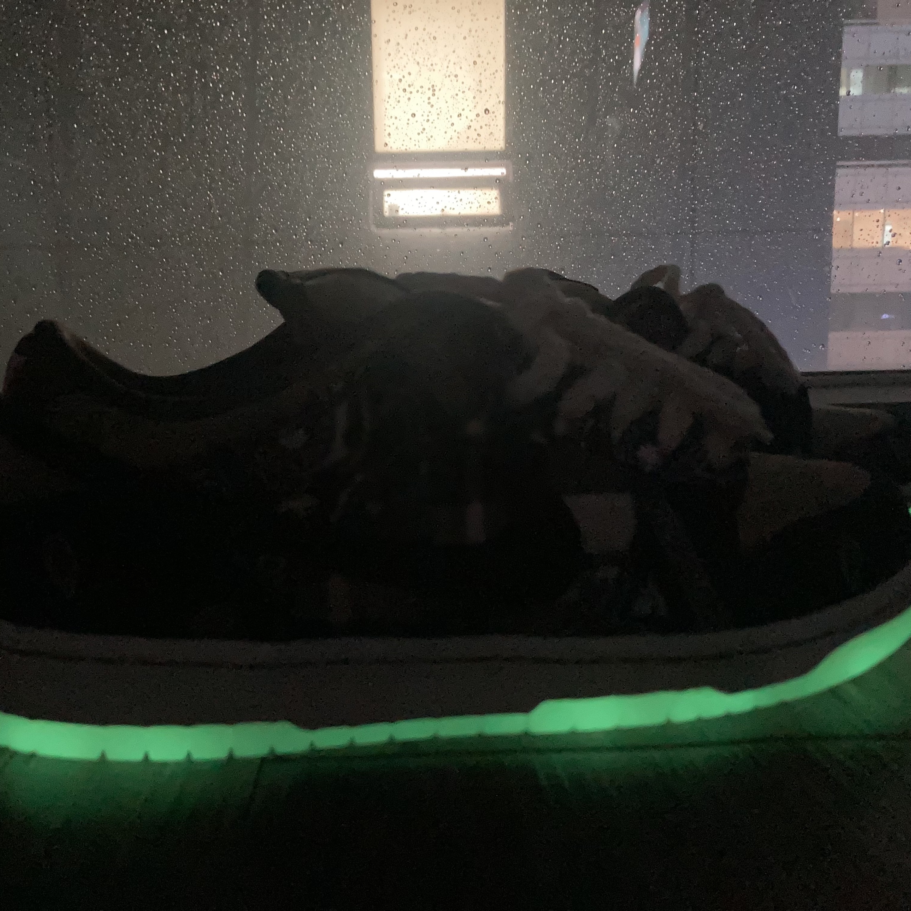 Nike x Travis Scott SB Dunk Low 착용 스타일