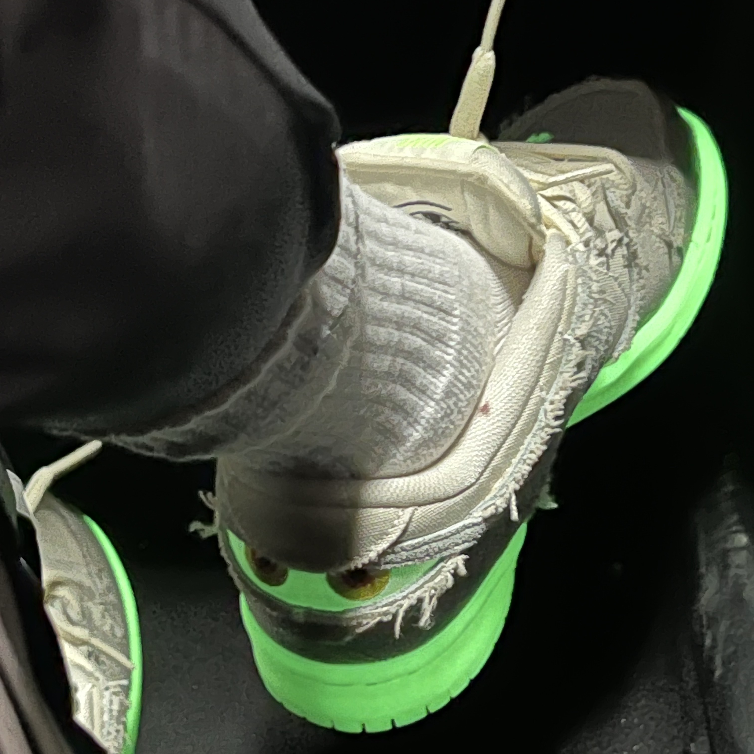 Nike SB Dunk Low Pro Premium Mummy 착용 스타일