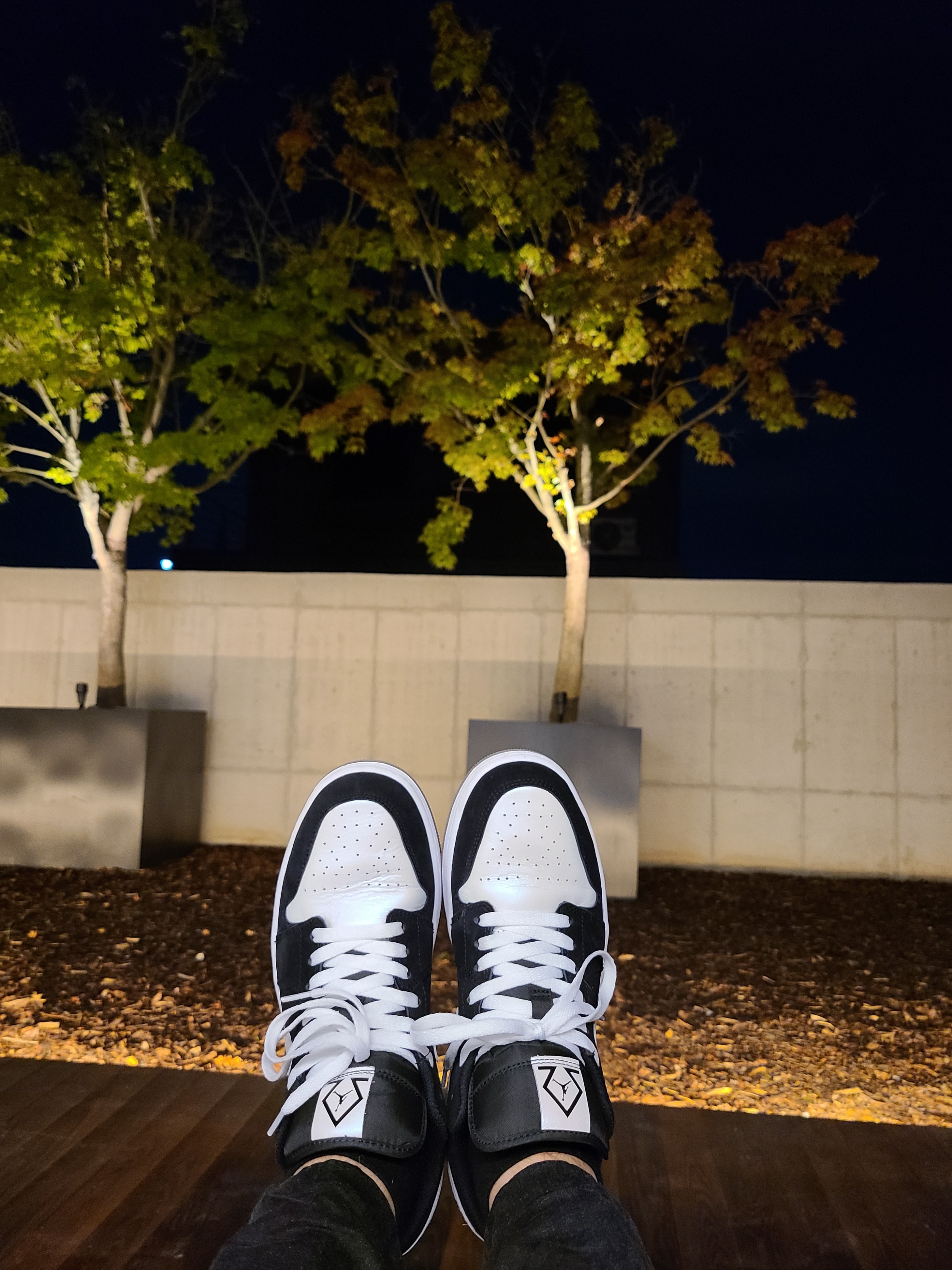Jordan 1 Low SE Diamond, (W) Nike Dunk Low Disrupt 2 Black White 착용 스타일 - 1