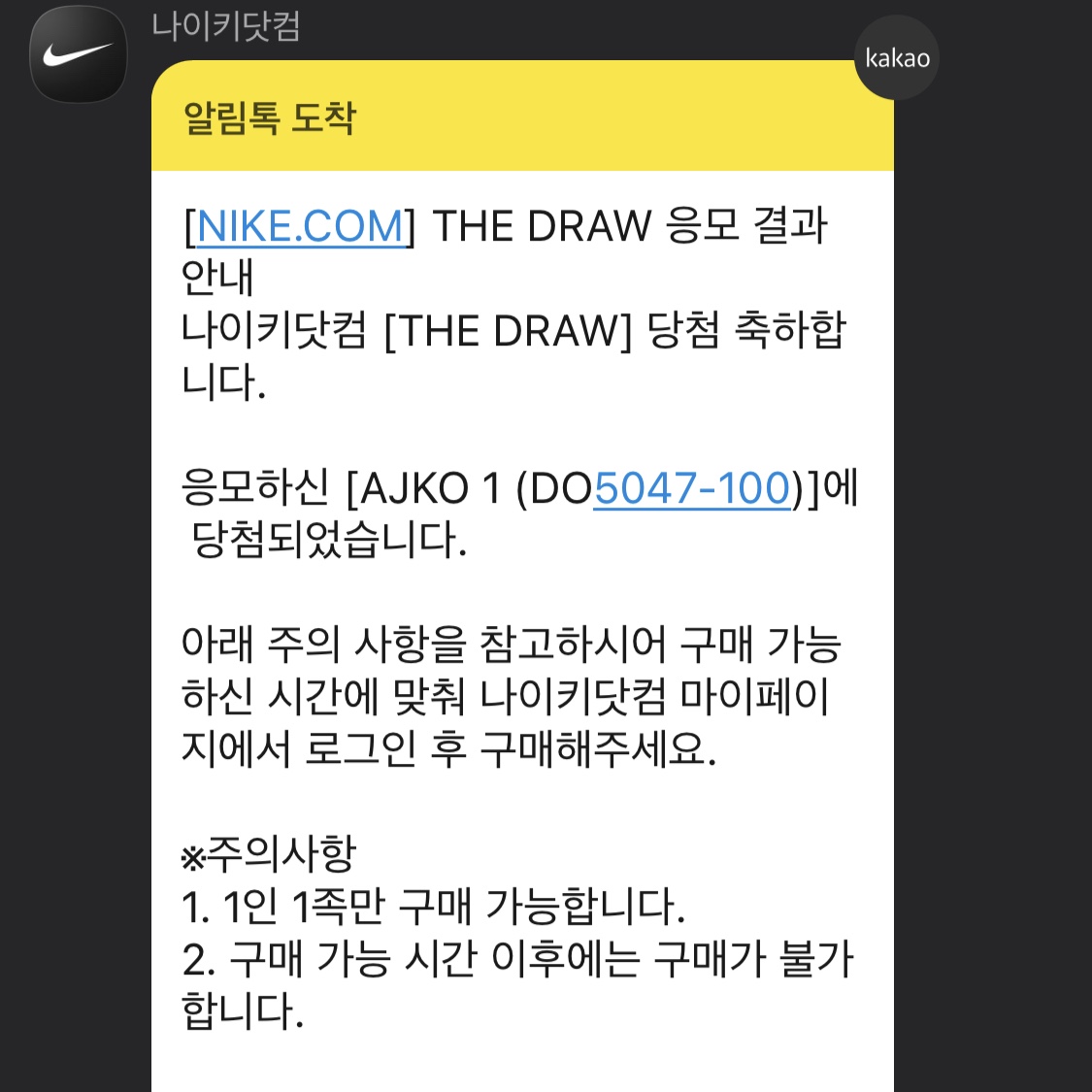 Jordan 1 KO White and Black 착용 스타일