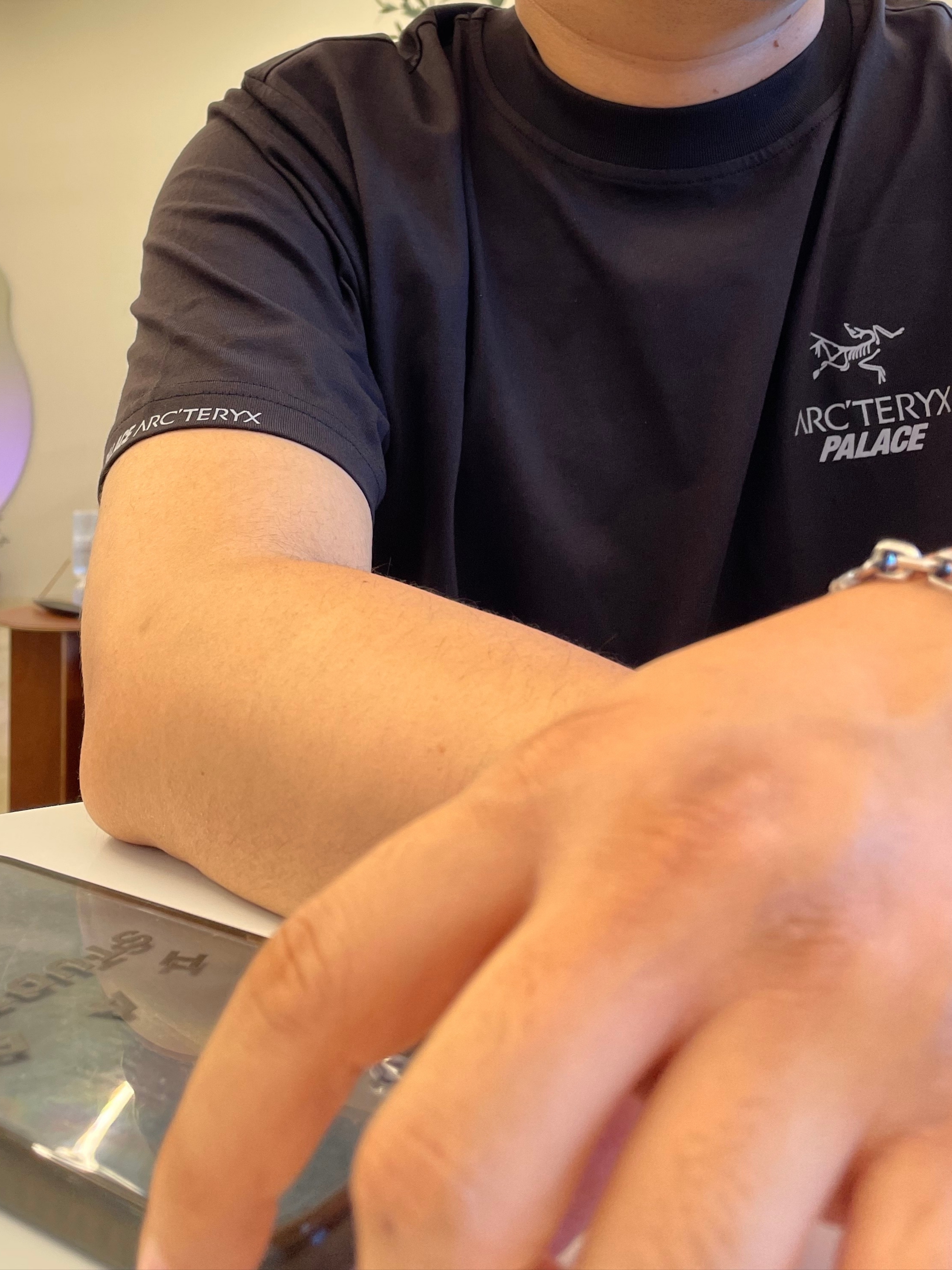 Palace x Arc'teryx T-Shirt Black - 20FW, Essentials 1977 Shorts Dark Oatmeal - 22SS 착용 스타일 - 3