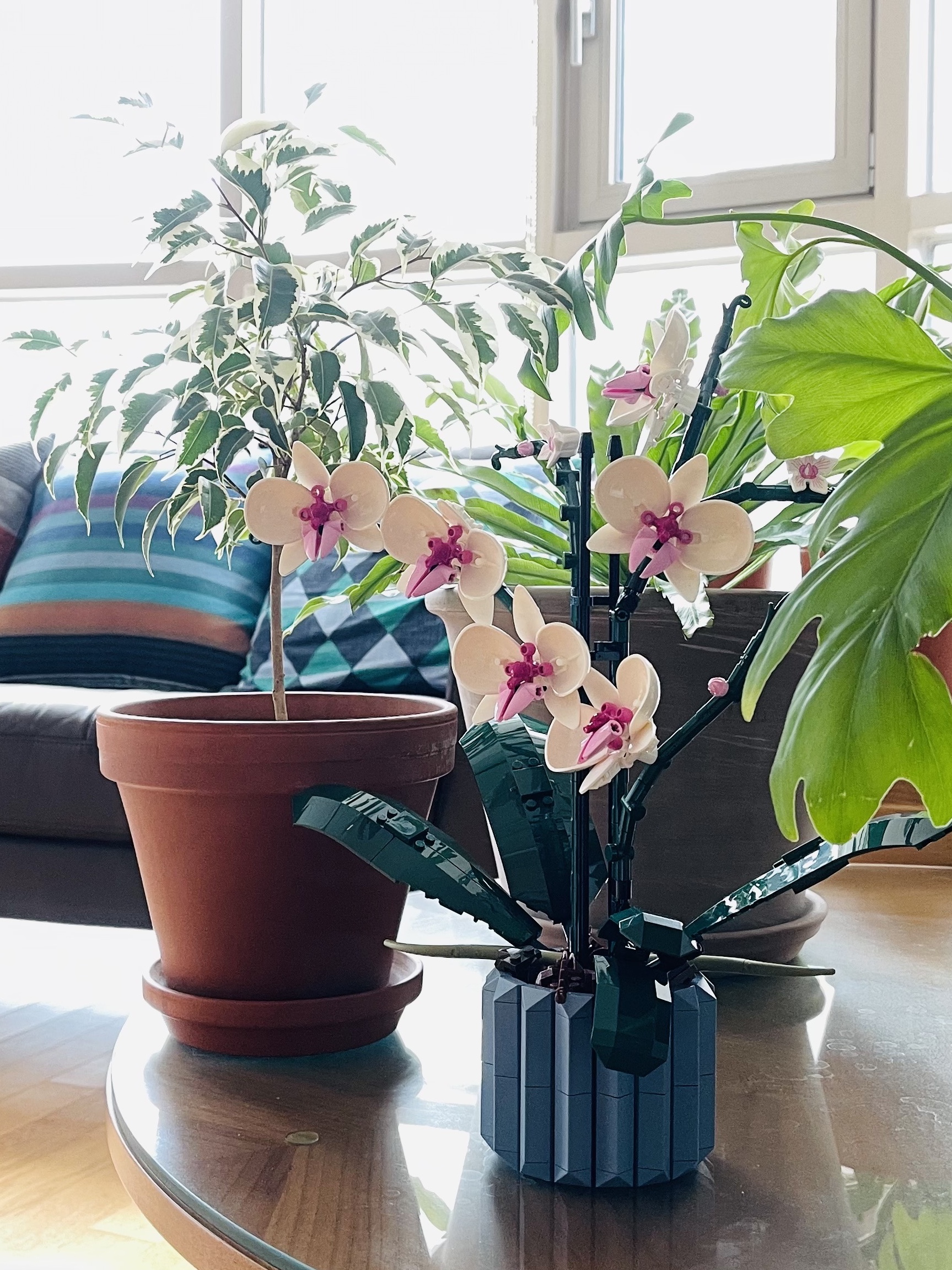 Lego Orchid 착용 스타일
