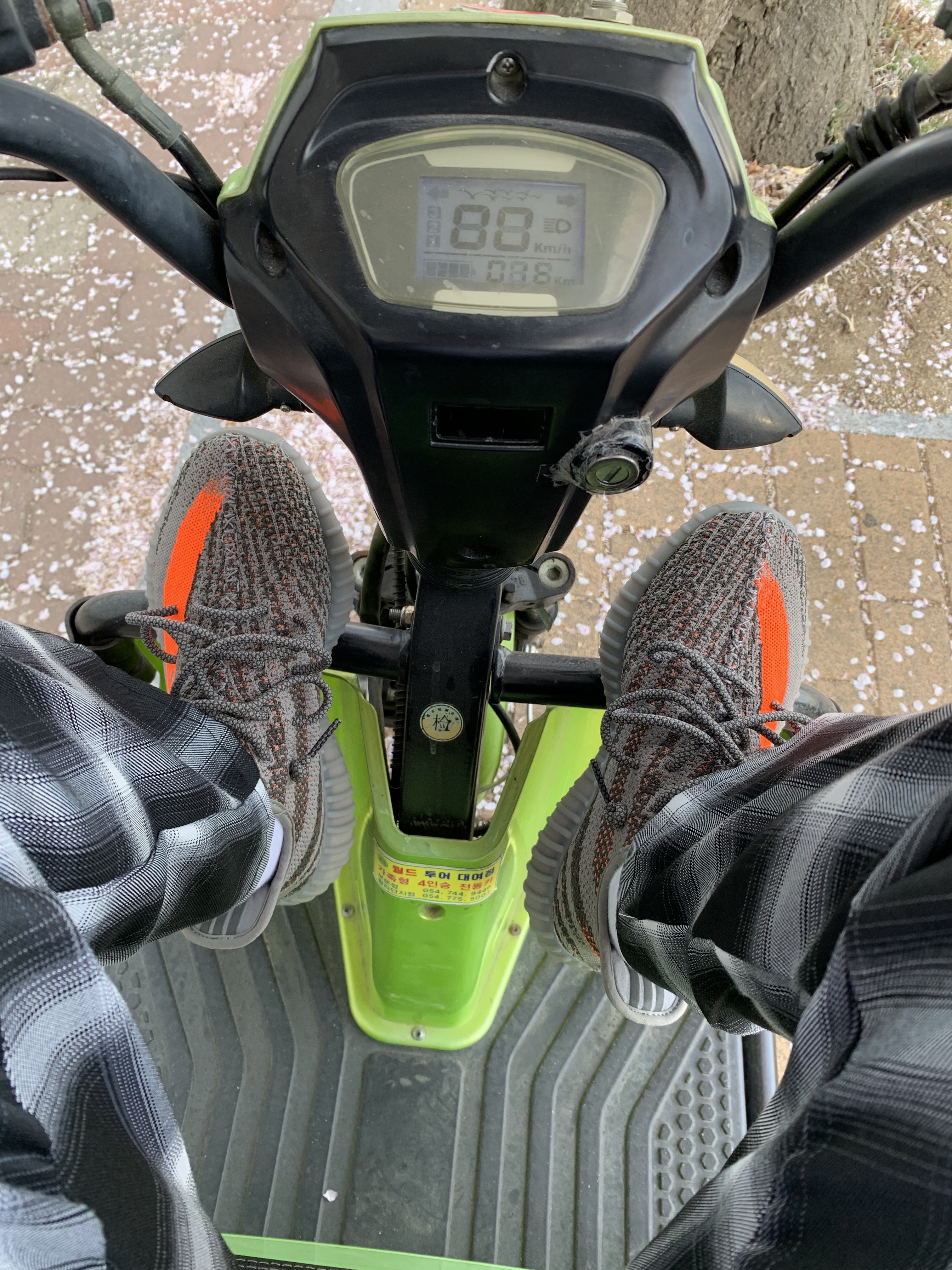 Adidas Yeezy Boost 350 V2 Beluga - Reflective 착용 스타일