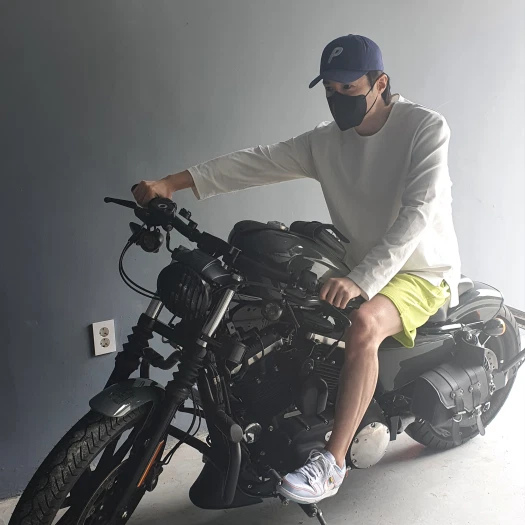 스타일 카드