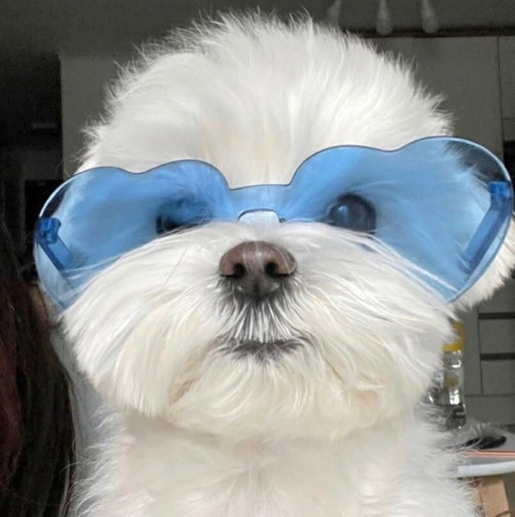 관심 유저 프로필 이미지