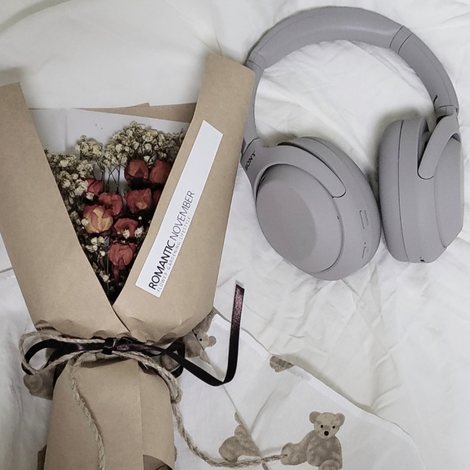 Sony WH-1000XM4 Platinum Silver (Korean Ver.) 착용 스타일
